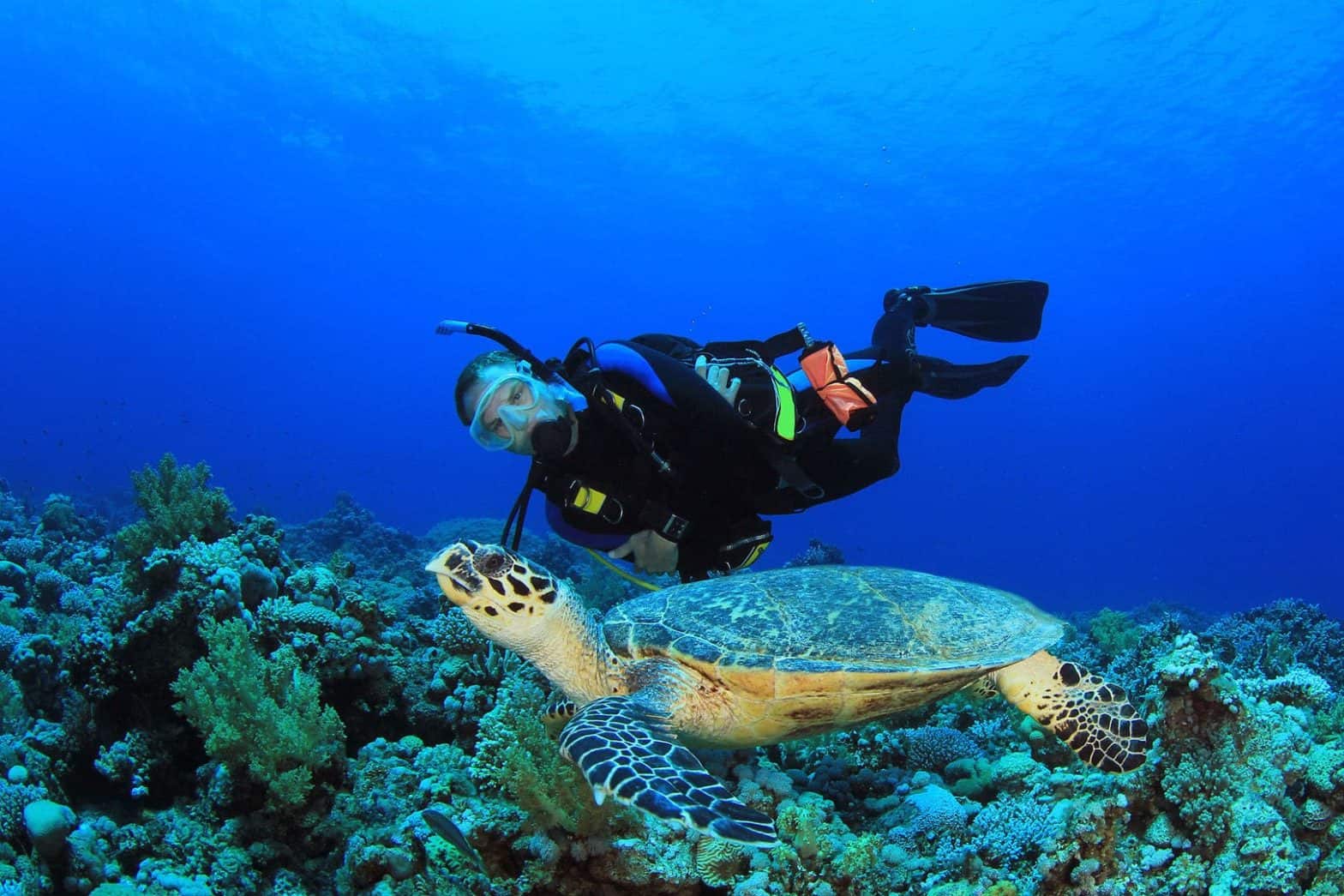 Best Worldwide Locations for Adventurous Single Divers