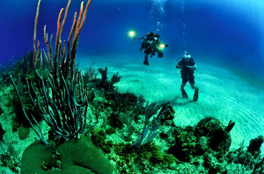rebreather: scuba diver underwater
