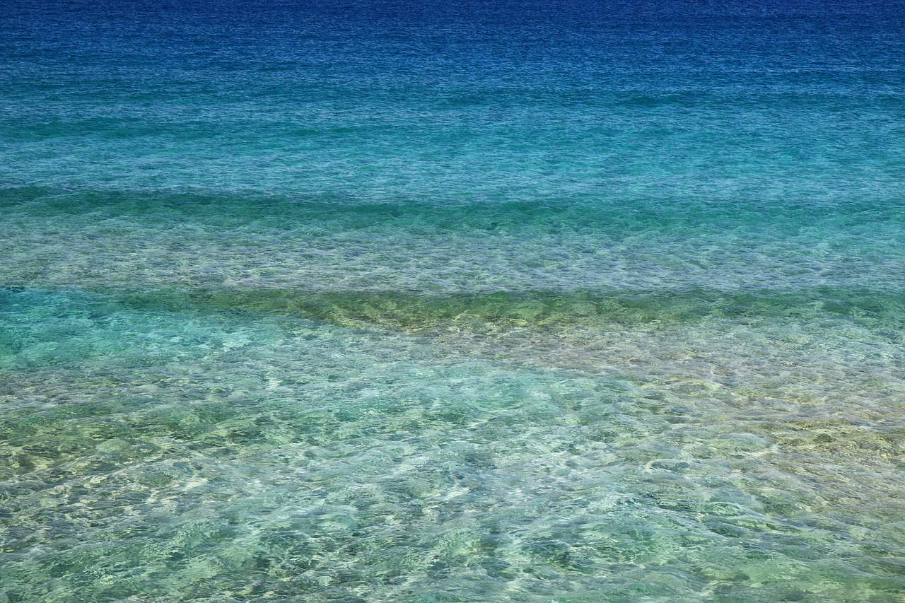 ocean with clear water