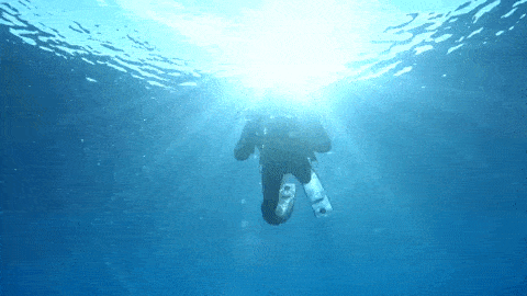 diver in a vast ocean