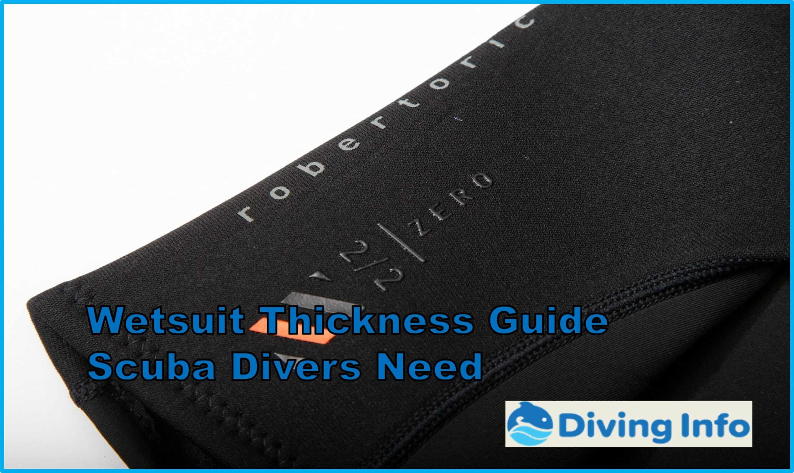 Wetsuit Thickness Guide Scuba Divers Need