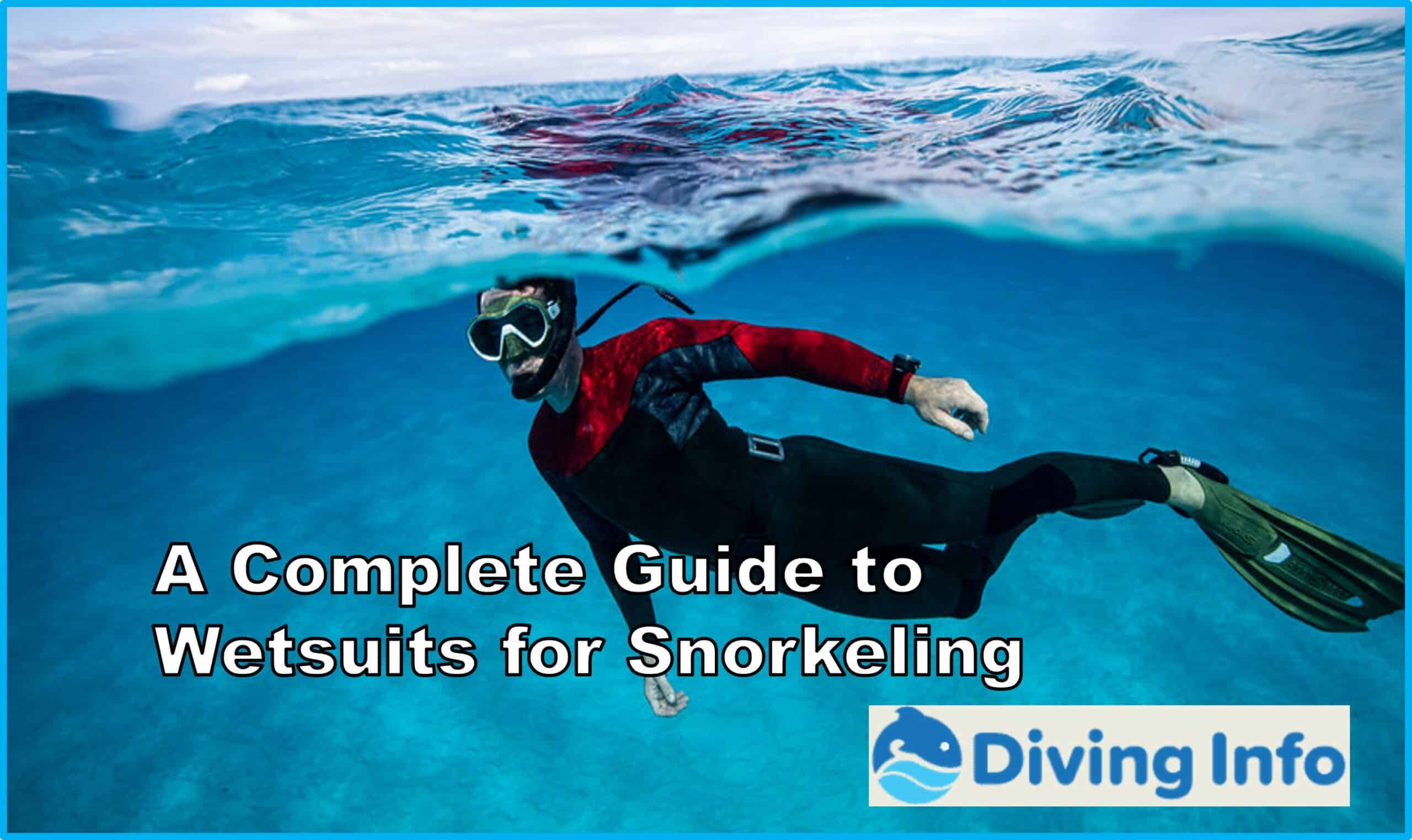 A Complete Guide to Wetsuits for Snorkeling