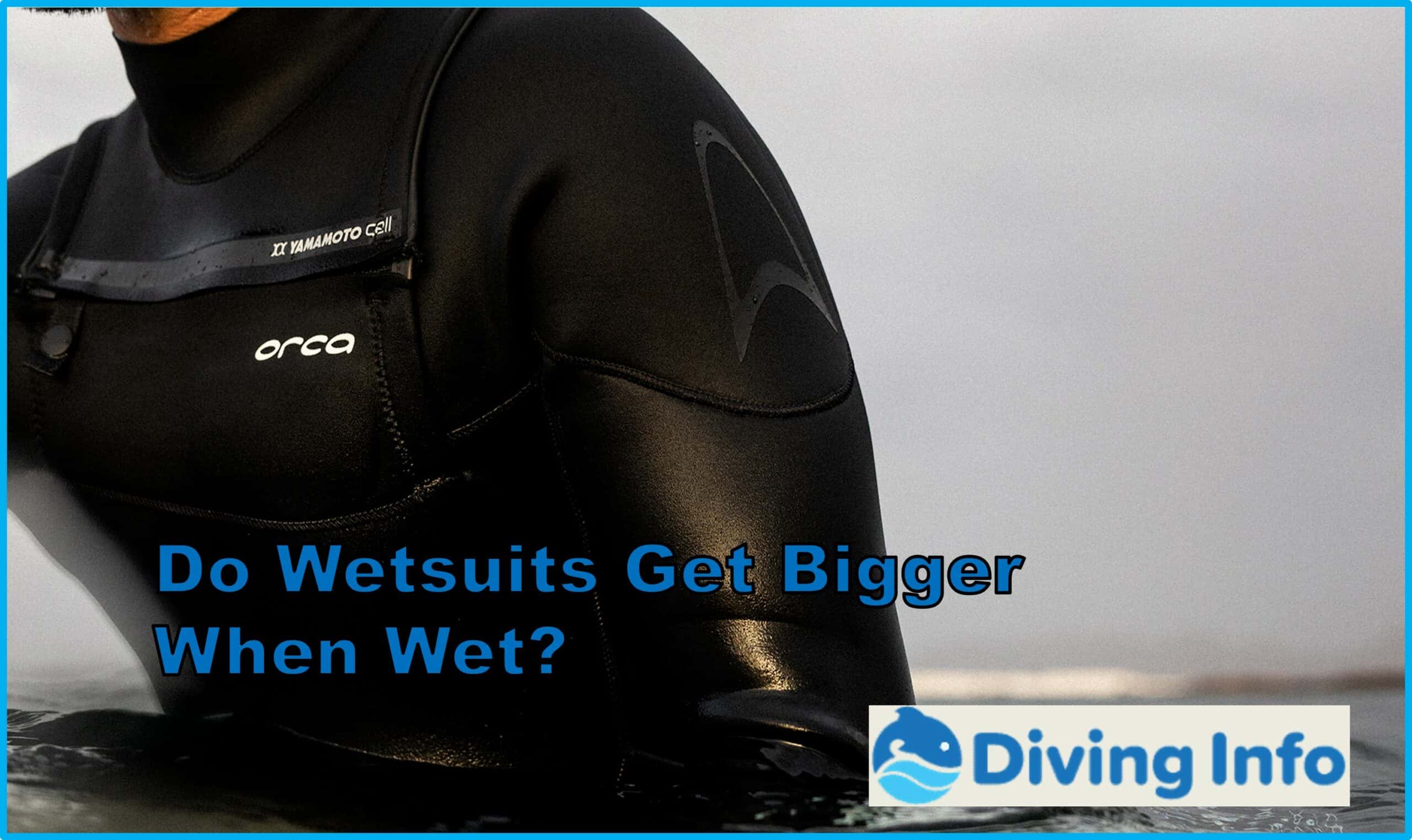 Do Wetsuits Get Bigger When Wet?