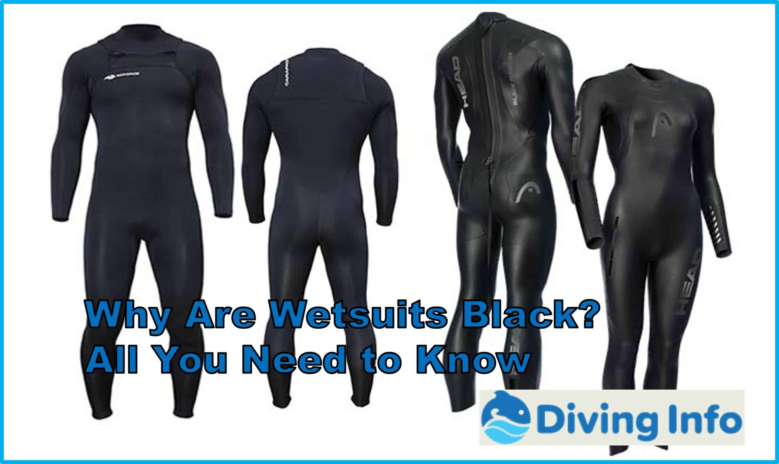 Why Are Wetsuits Black? All You Need to Know