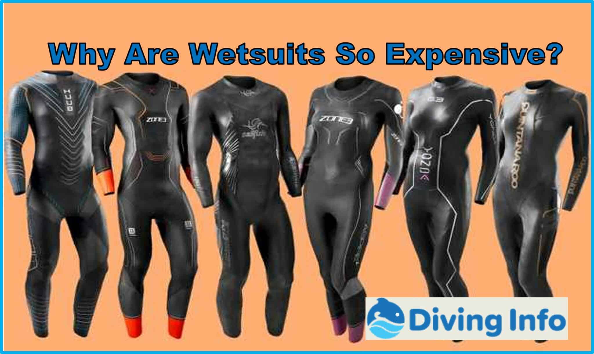 Why Are Wetsuits So Expensive 2048x1220 