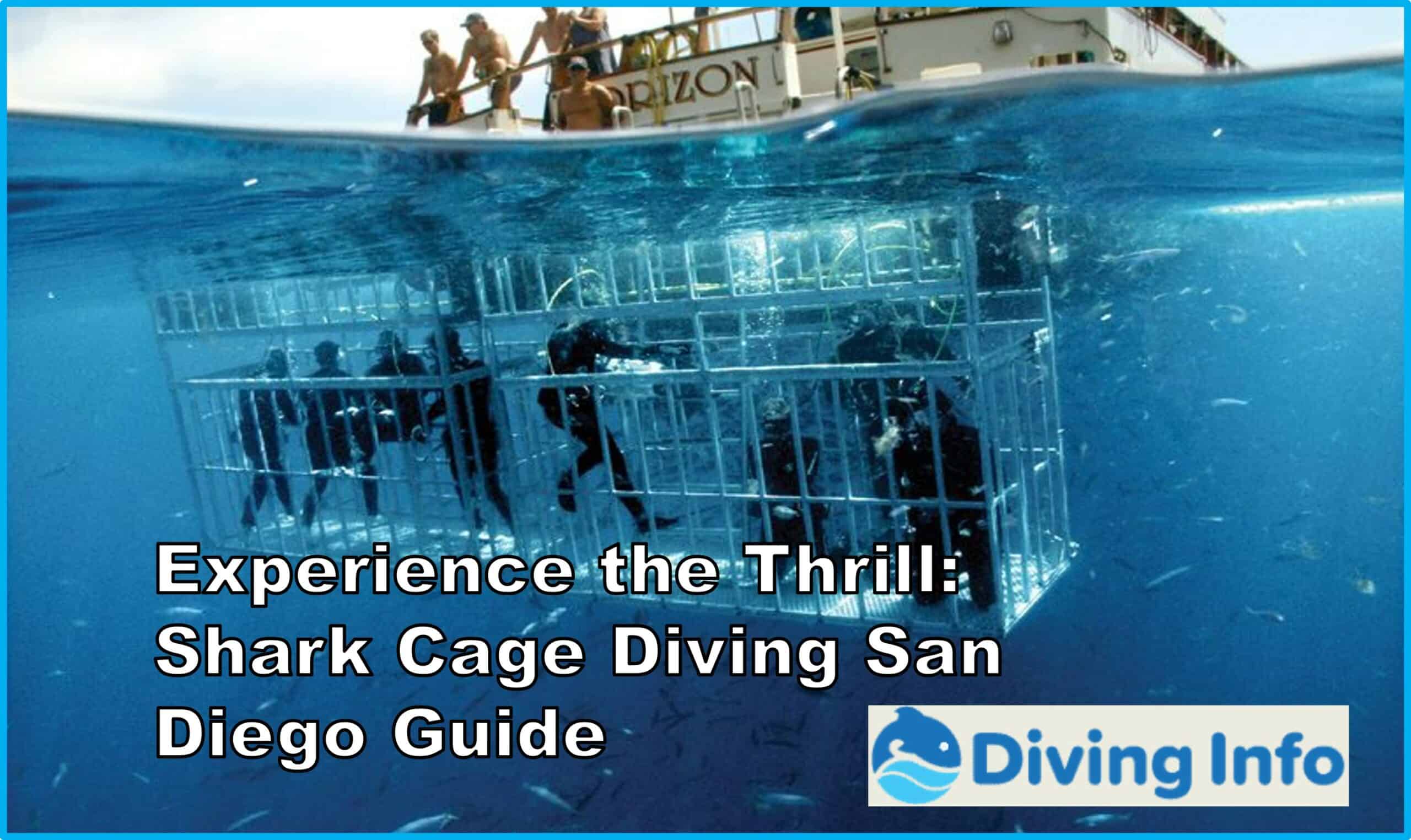 Experience the Thrill Shark Cage Diving San Diego Guide
