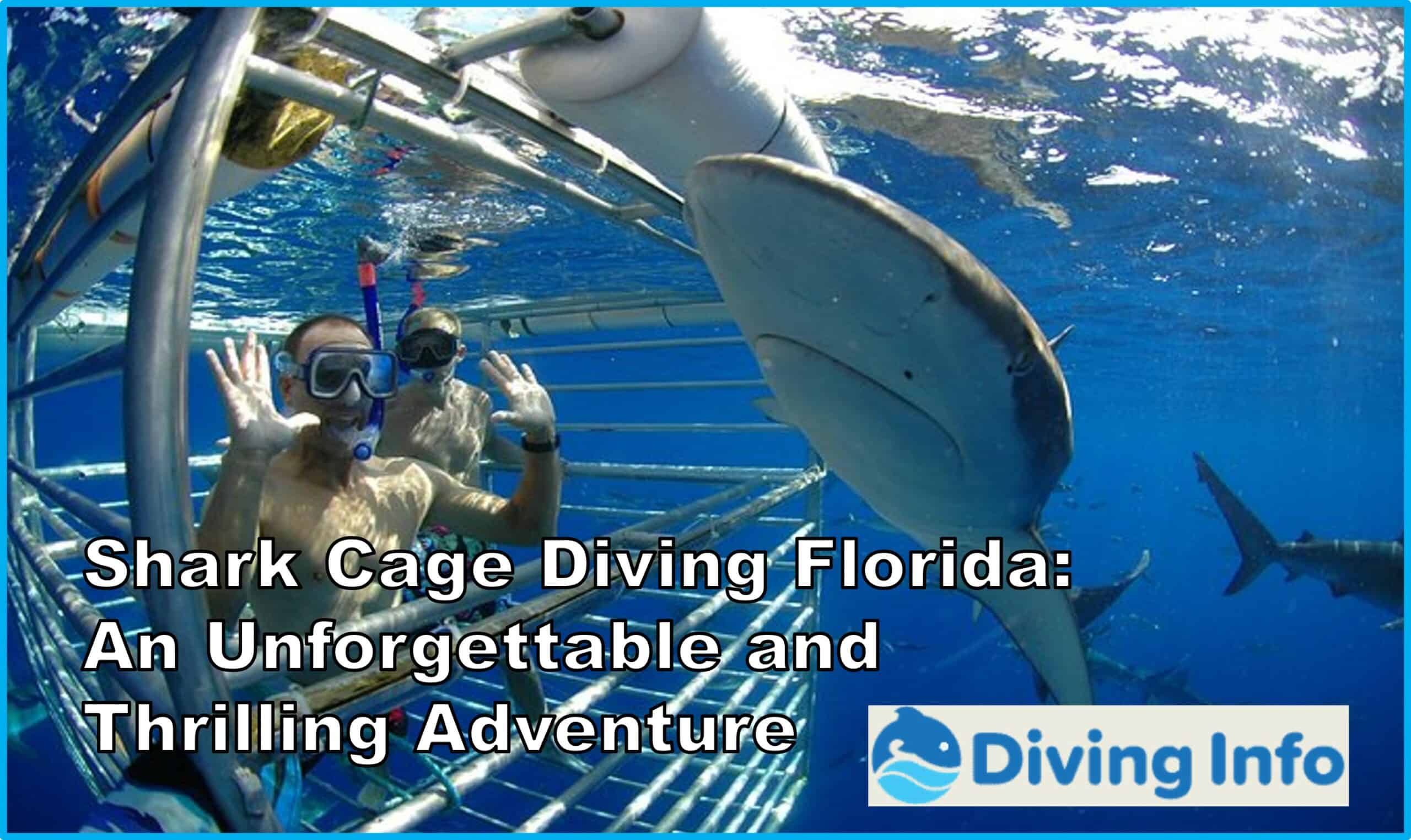 Shark Cage Diving Florida An Unforgettable and Thrilling Adventure