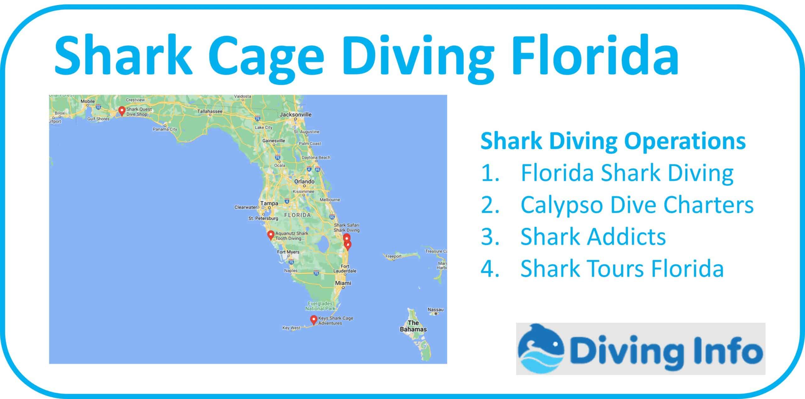 Shark Cage Diving Florida