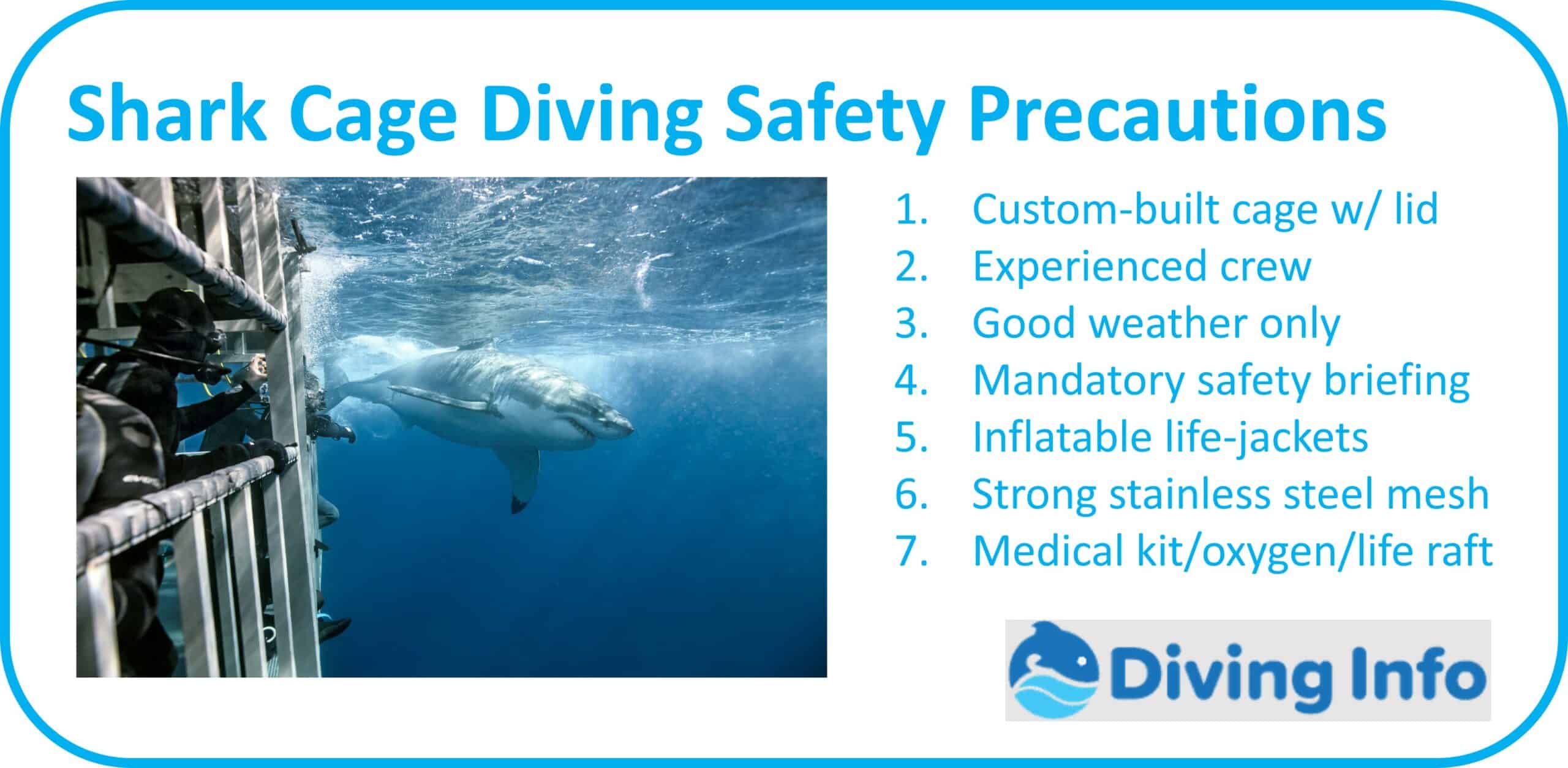 Shark Cage Diving Safety Precautions