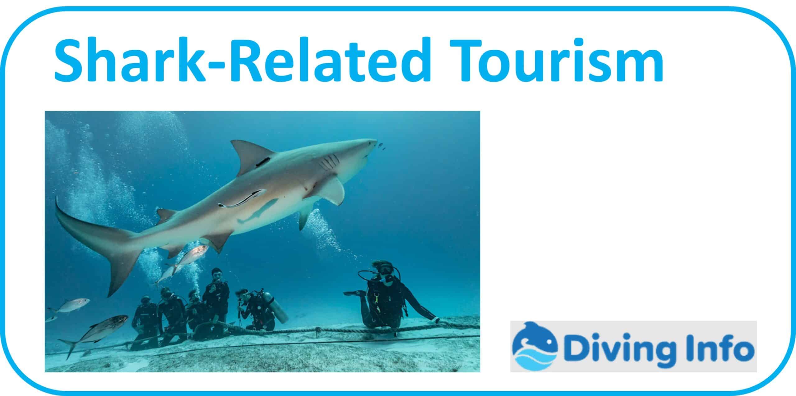 Shark-Related Tourism
