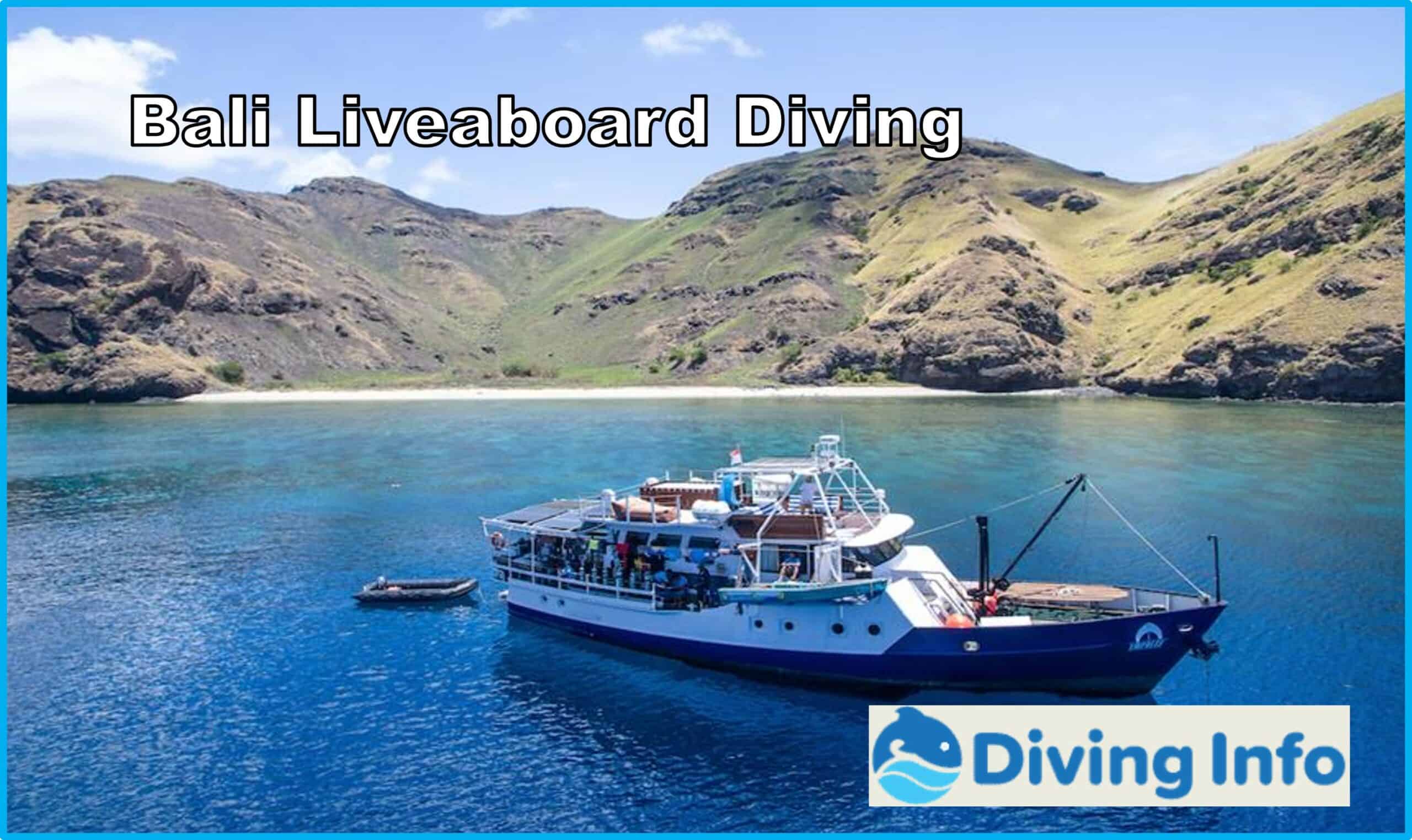 Bali Liveaboard Diving