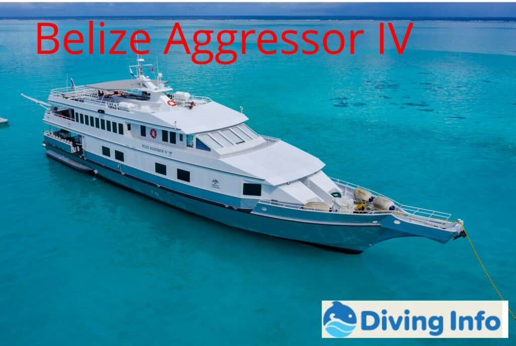 Belize Aggressor IV