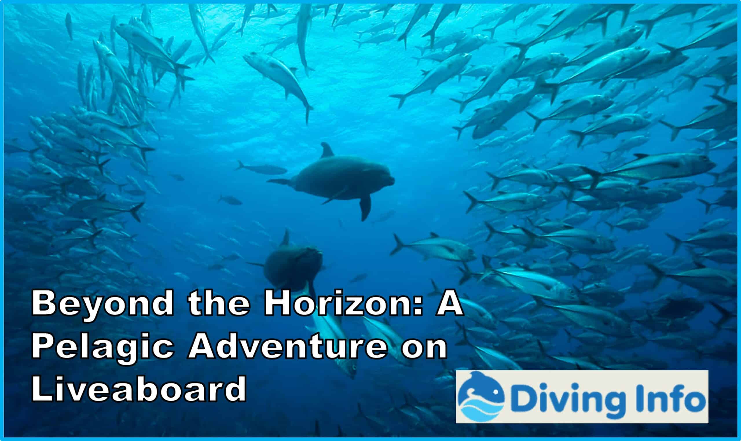 Beyond the Horizon A Pelagic Adventure on Liveaboard