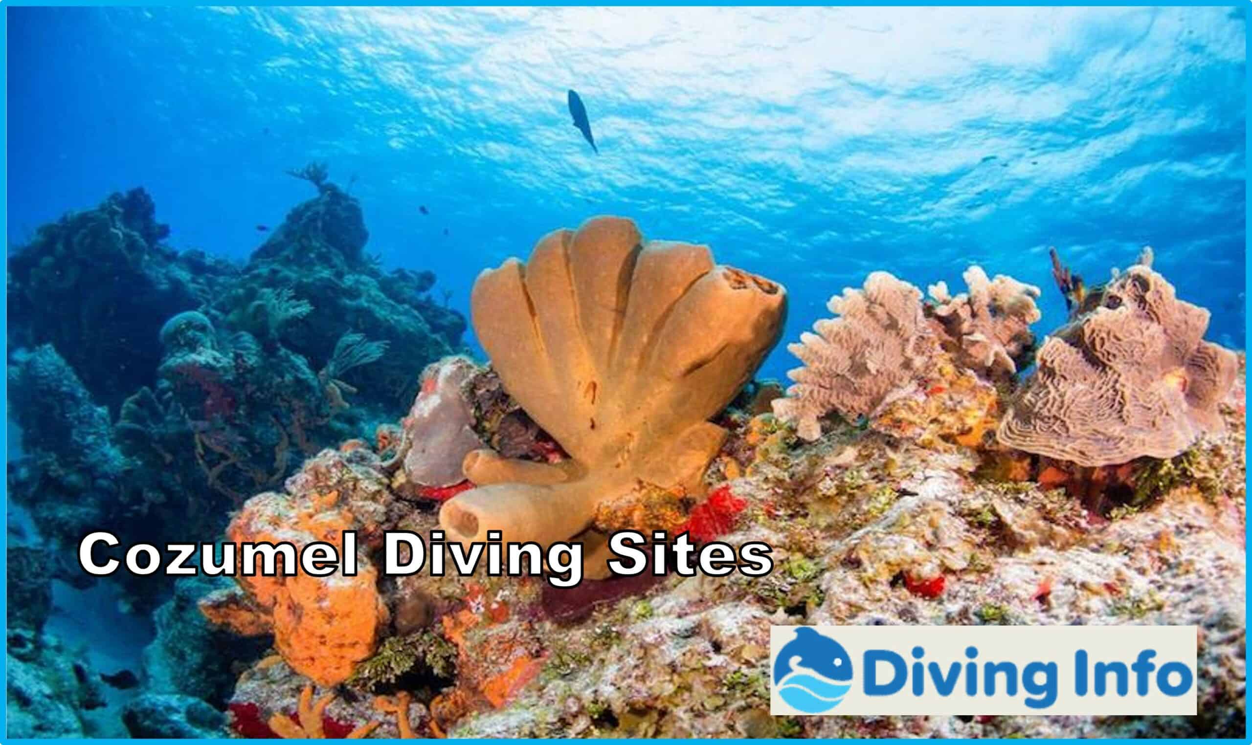 Cozumel Diving Sites
