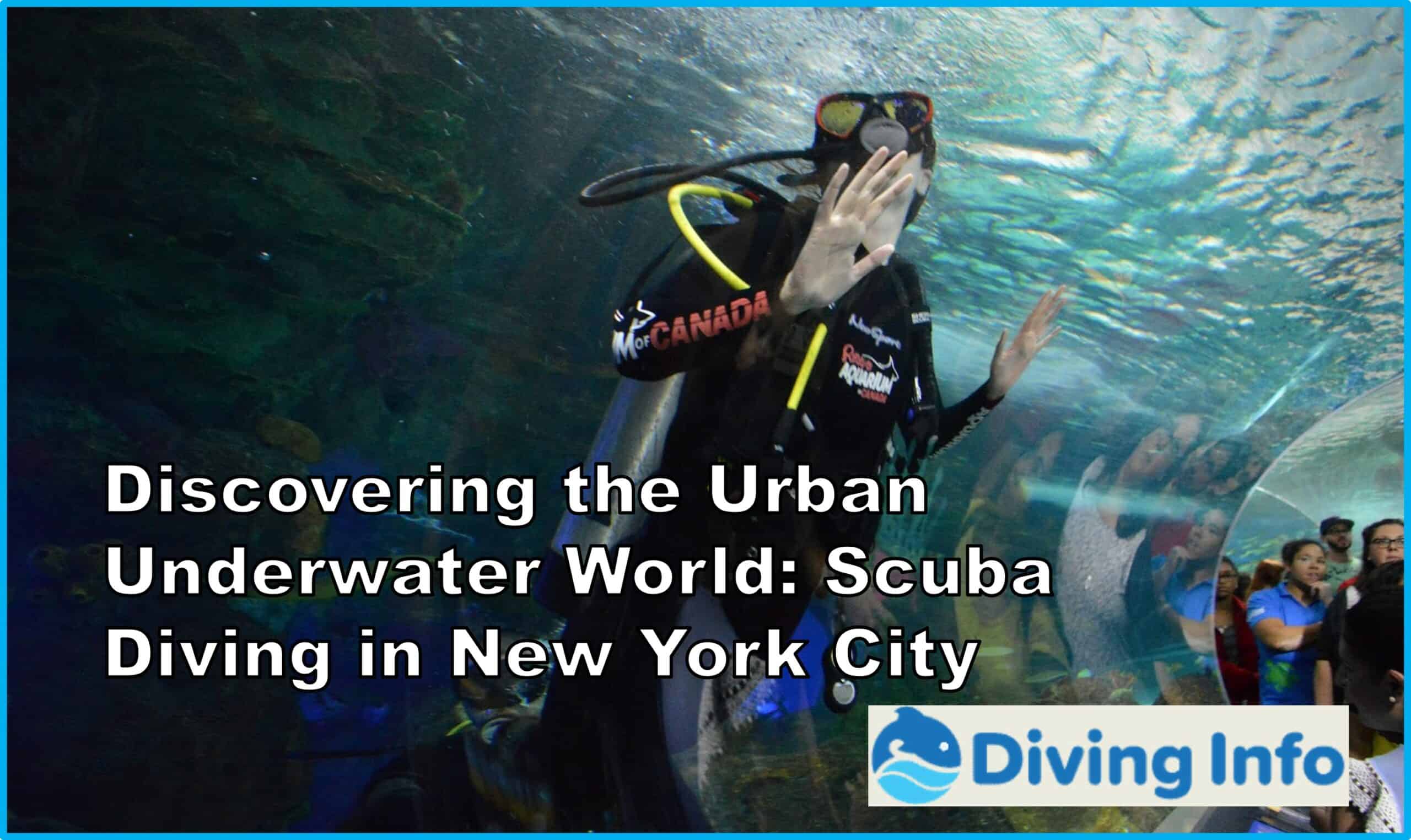 Discovering the Urban Underwater World Scuba Diving in New York City