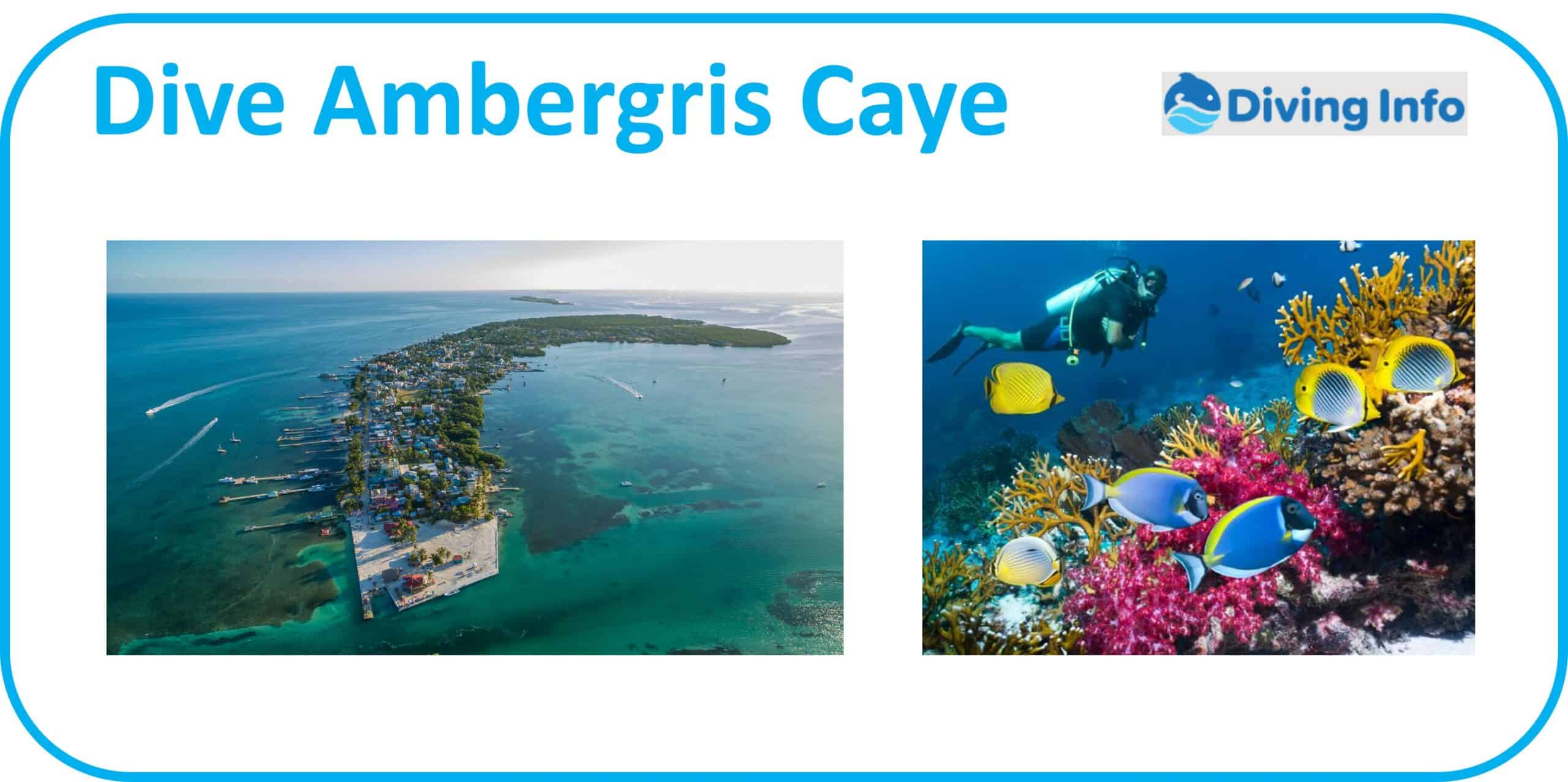 Dive Ambergris Caye
