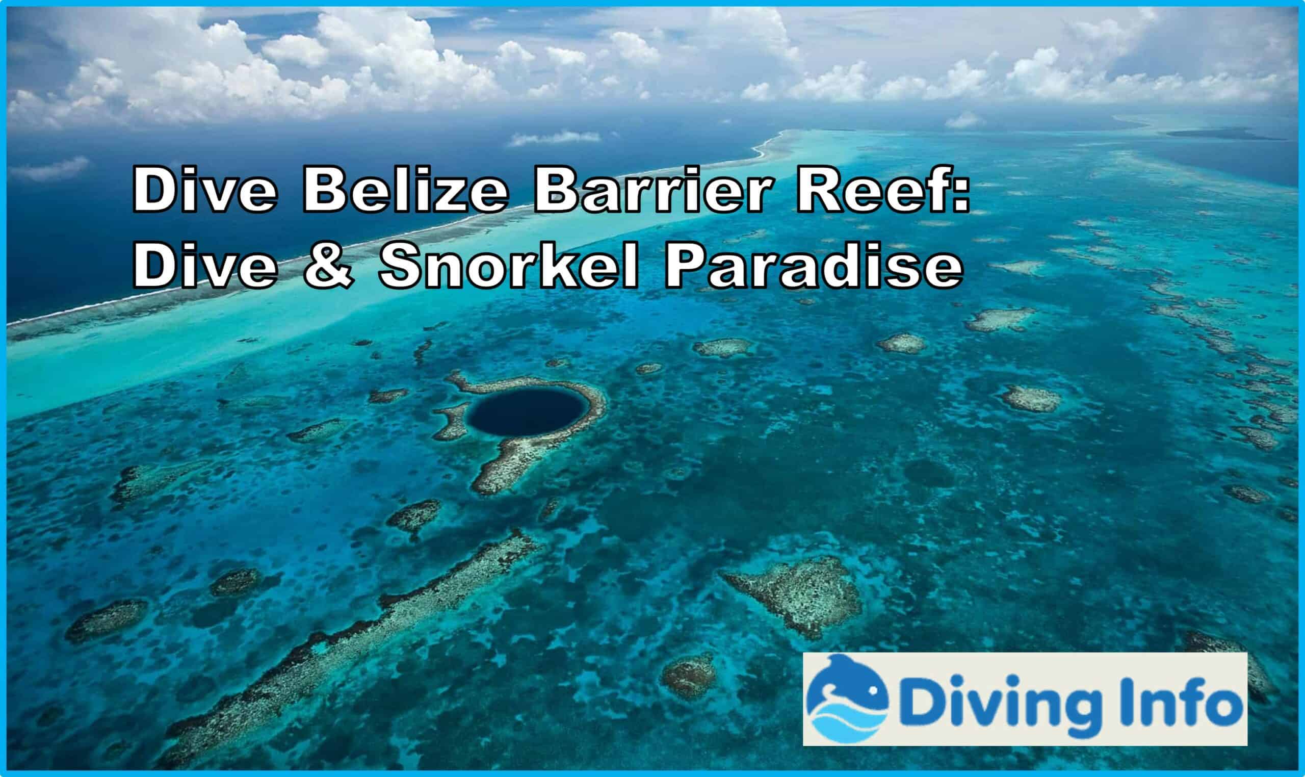 Dive Belize Barrier Reef