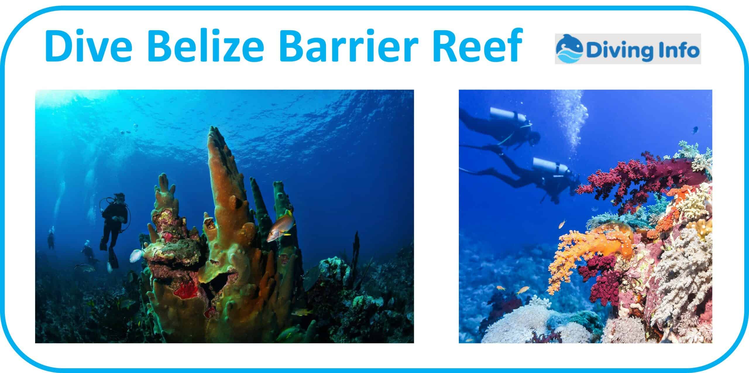 Dive Belize Barrier Reef