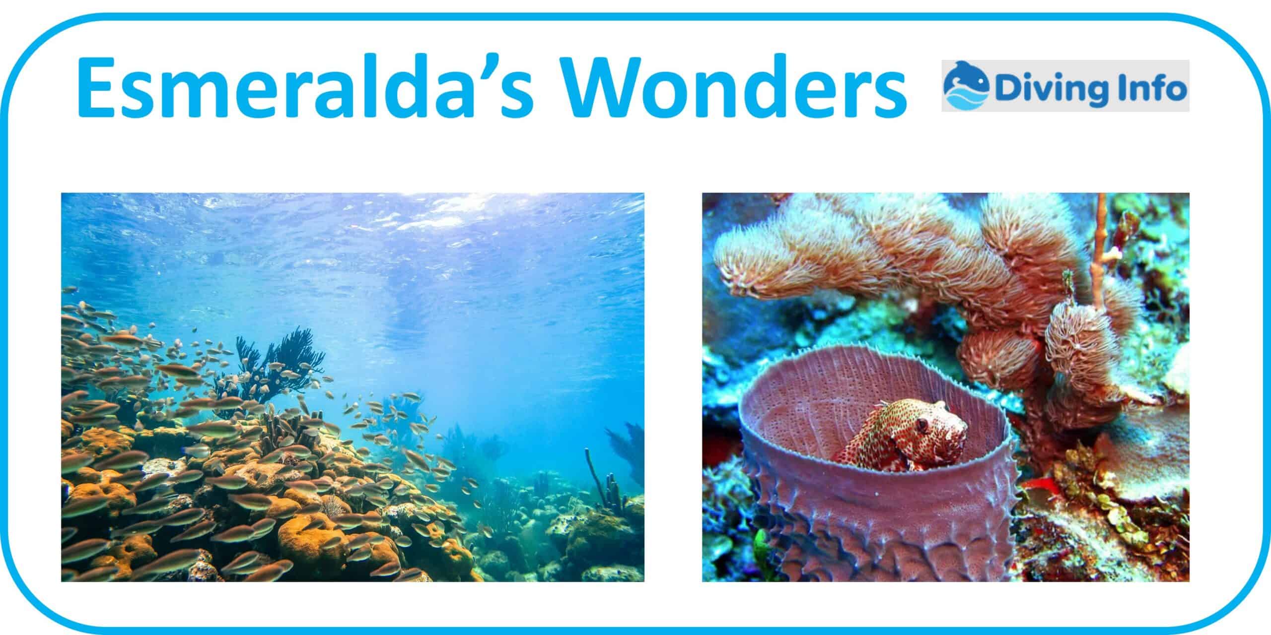 Esmeraldas Wonders Belize Diving