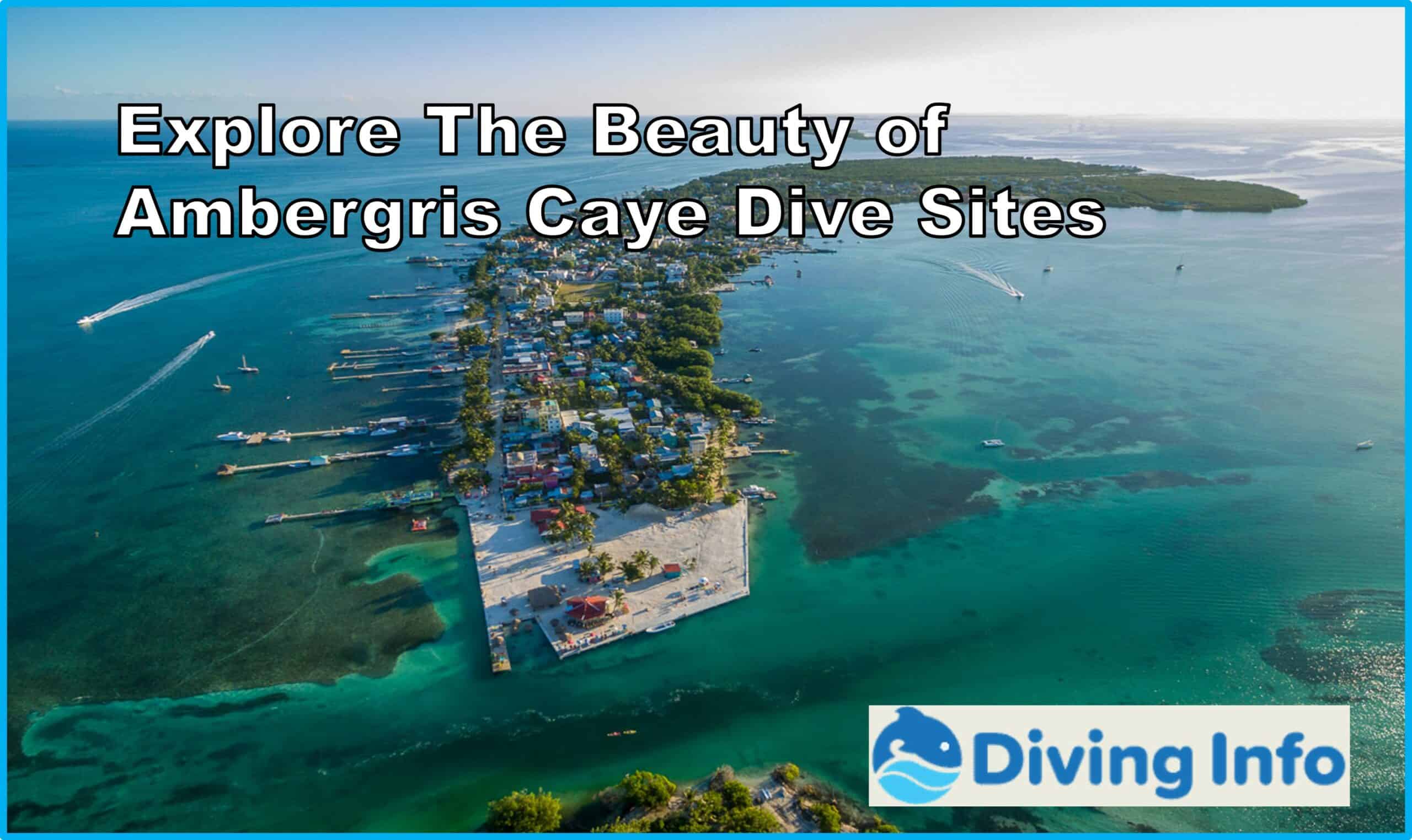 Dive Ambergris Caye