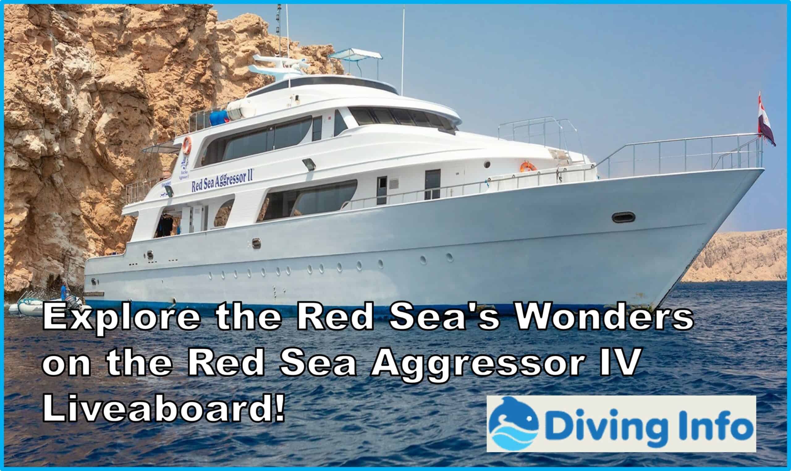 Explore the Red Seas Wonders on the Red Sea Aggressor IV Liveaboard