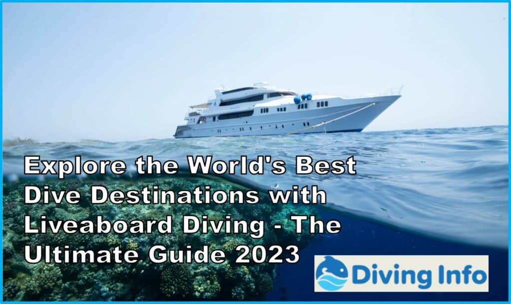 diving tour 2023