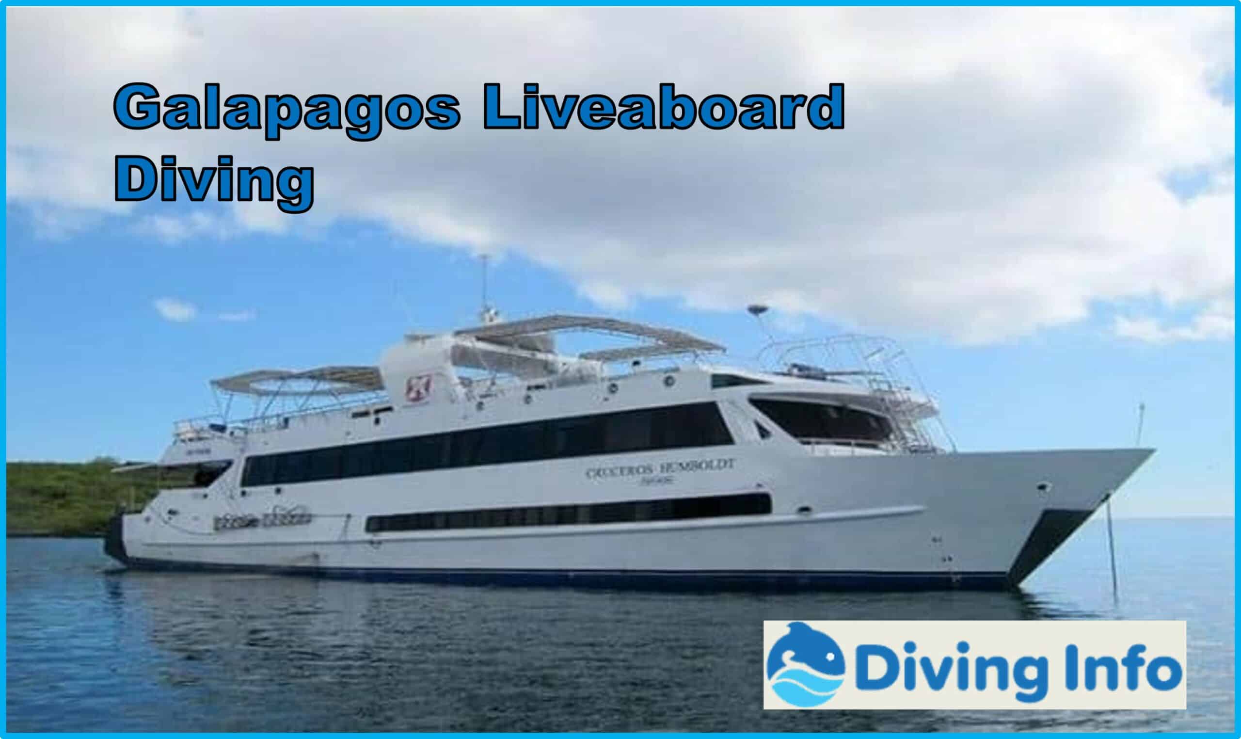 Galapagos Liveaboard Diving