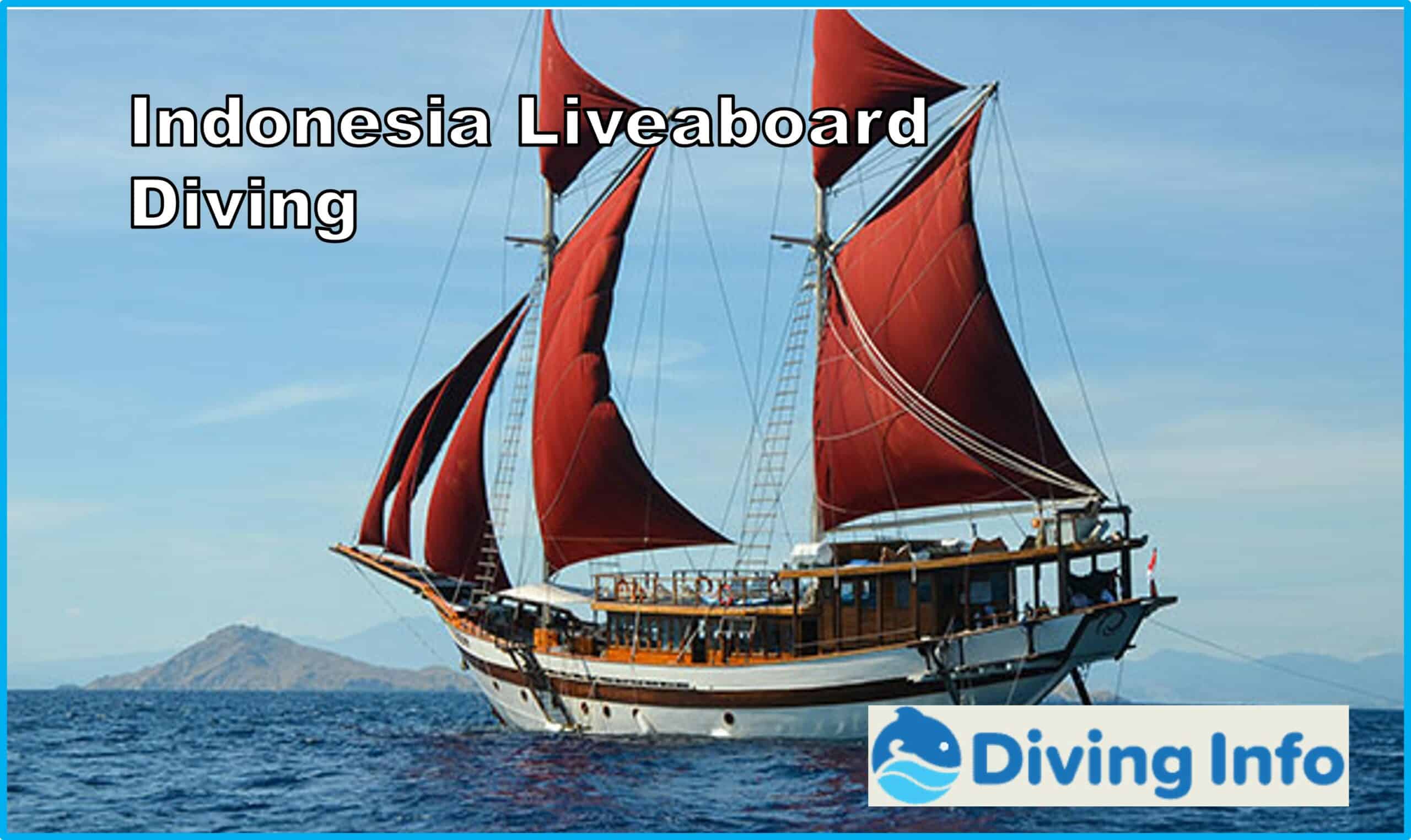 Indonesia Liveaboard Diving