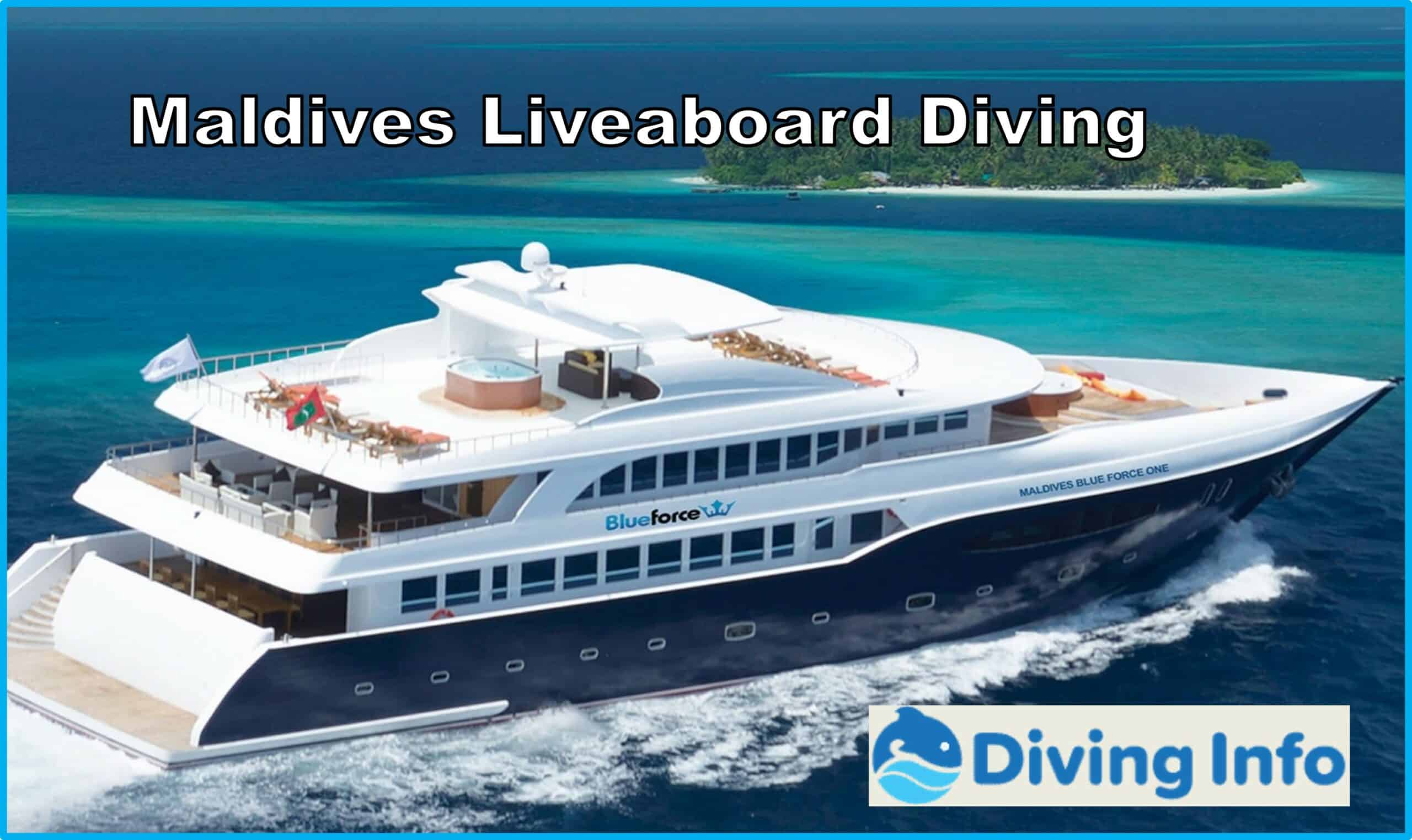 Maldives Liveaboard Diving