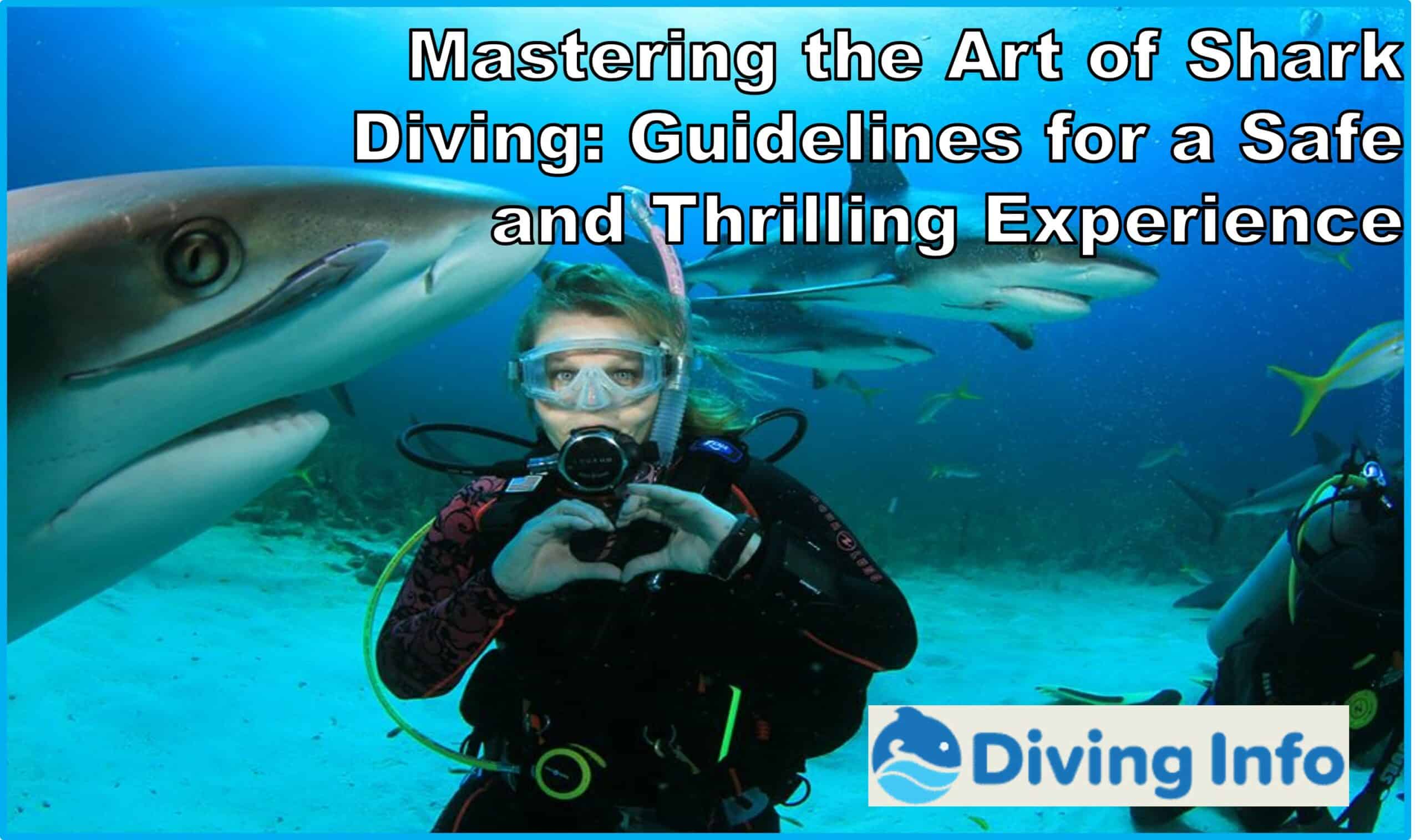 Mastering the Art of Shark Diving Guidelines for a Safe and Thrilling Experience
