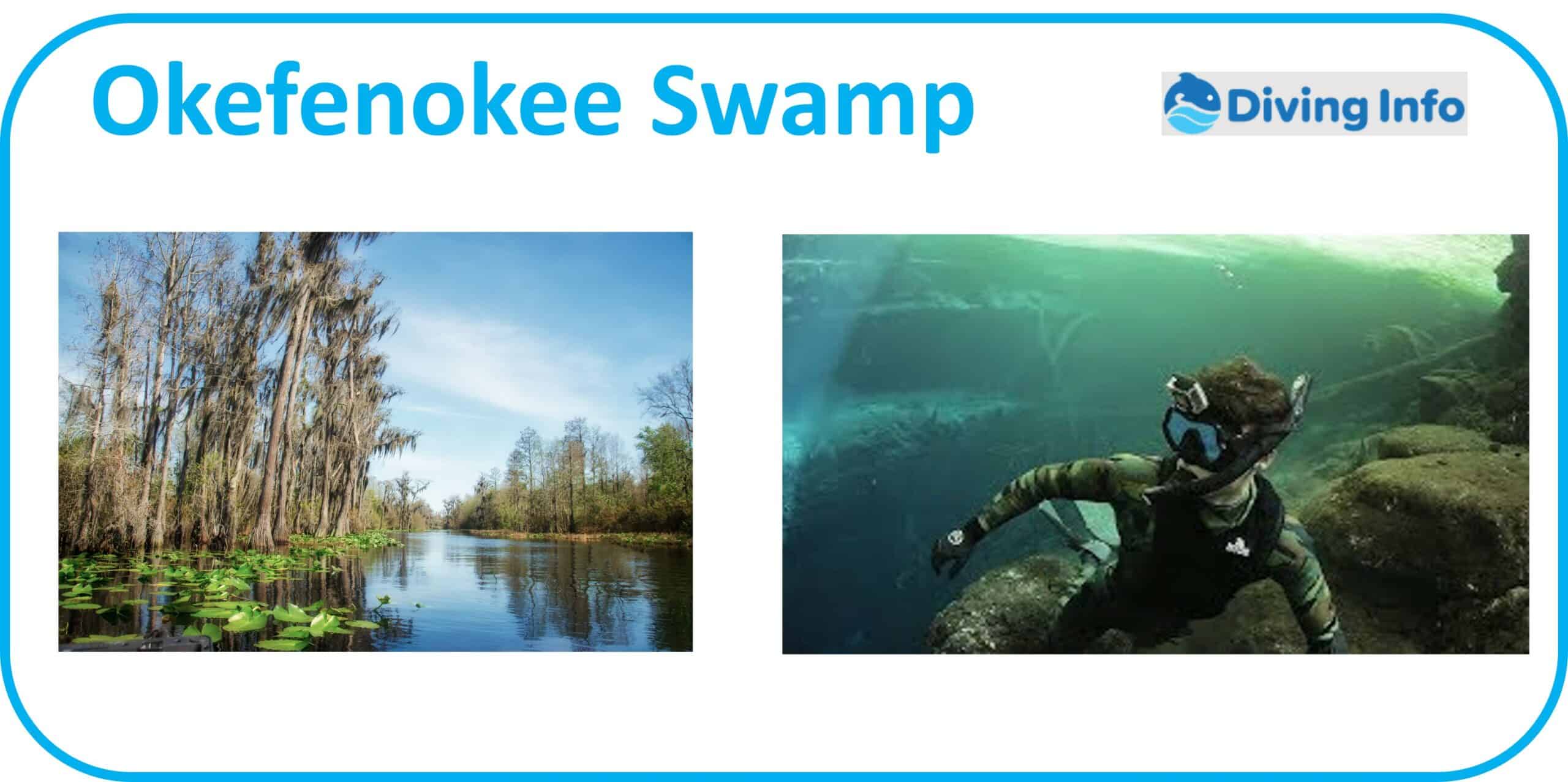 Diving in the Okefenokee Swamp