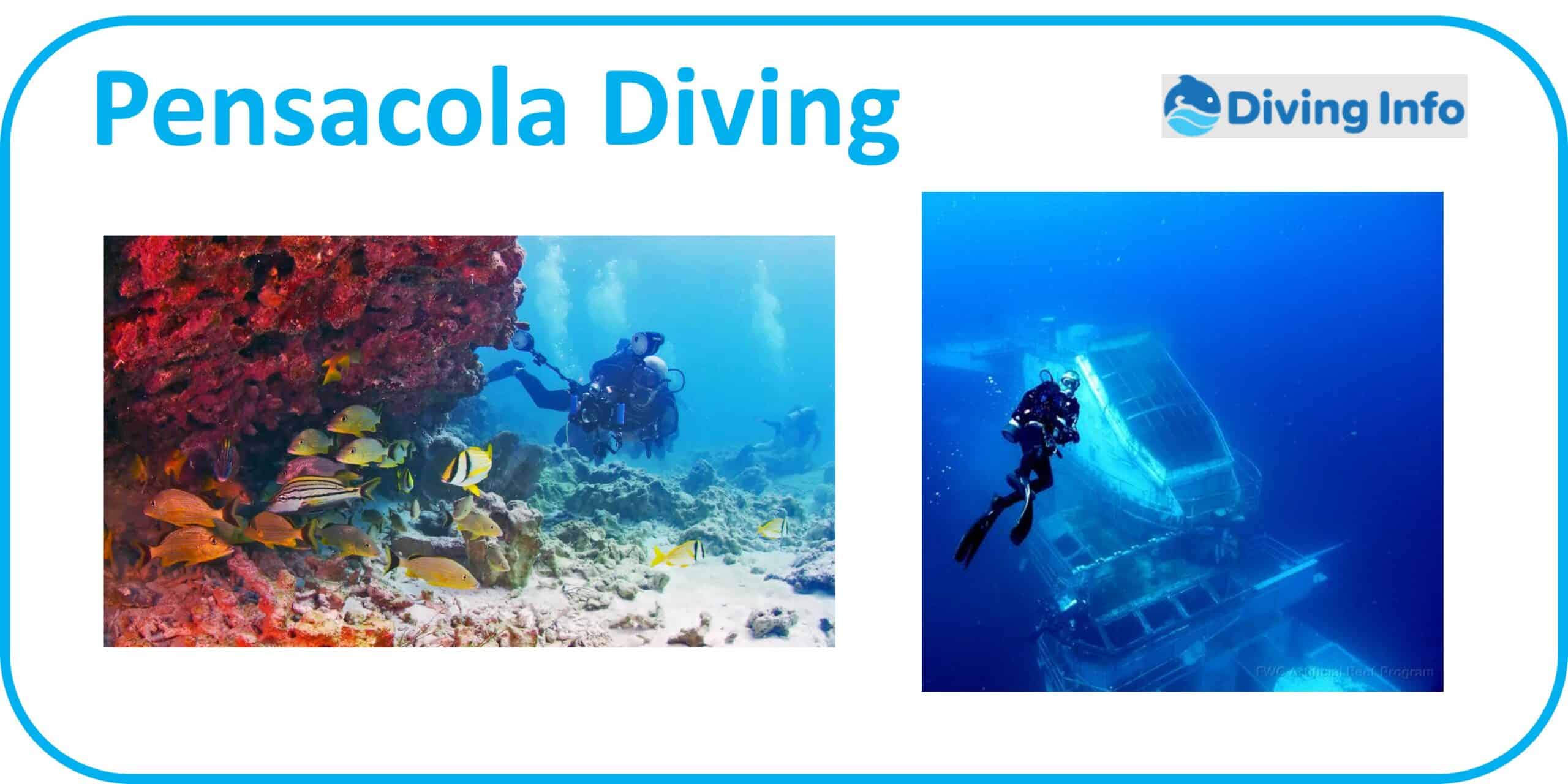 Pensacola Diving