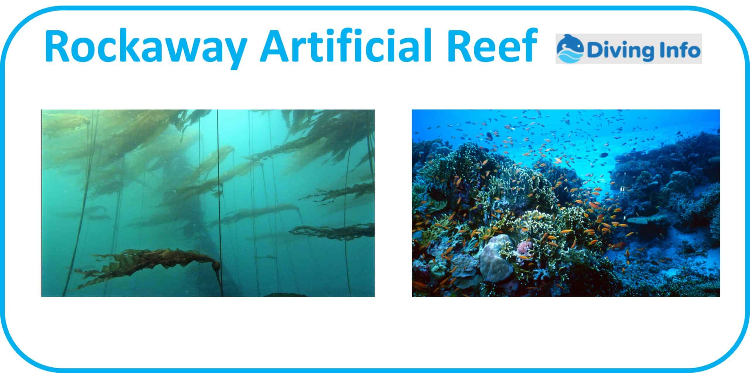 Rockaway Artificial Reef