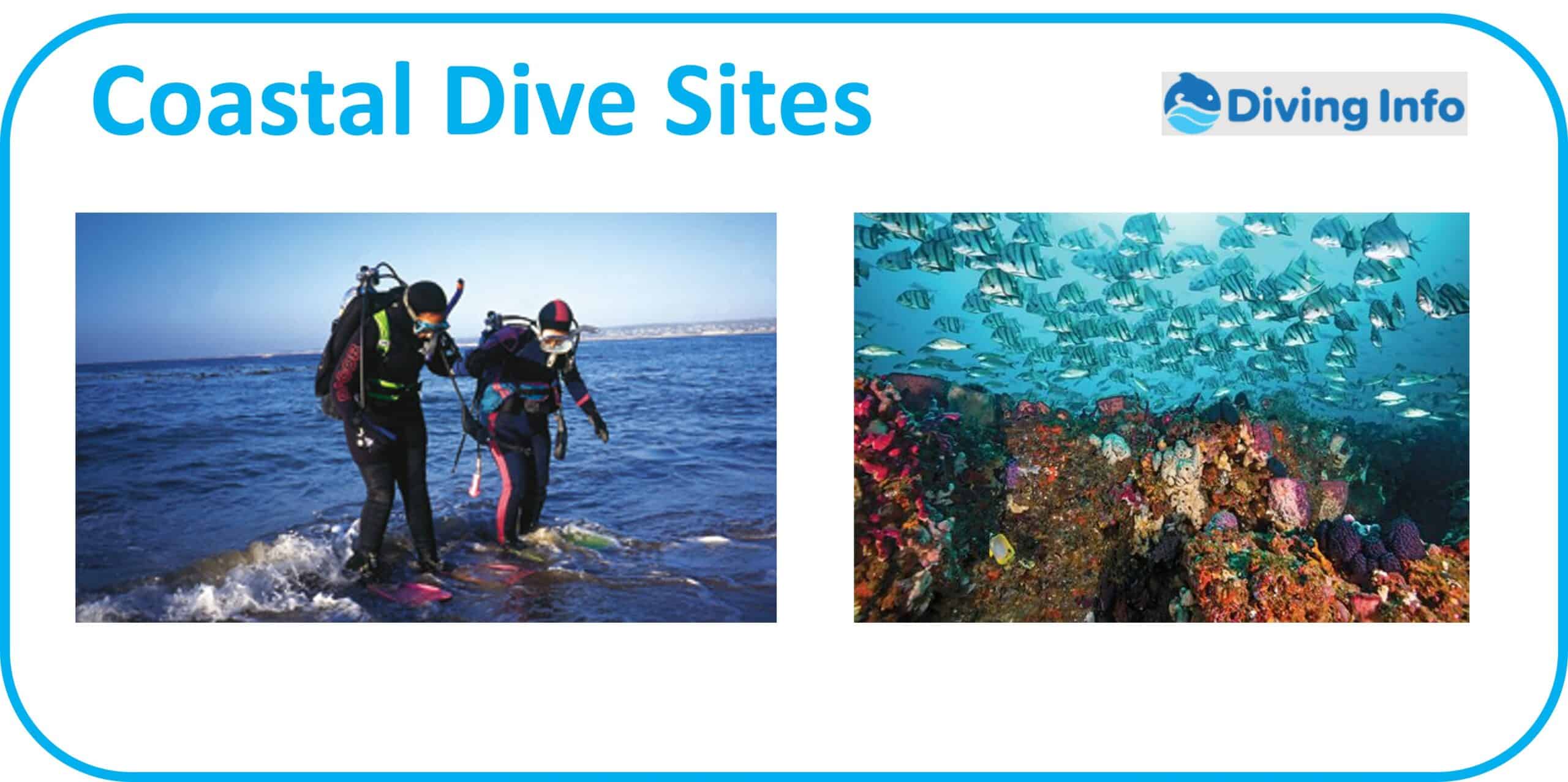 Savannah Coastal Dive Sites