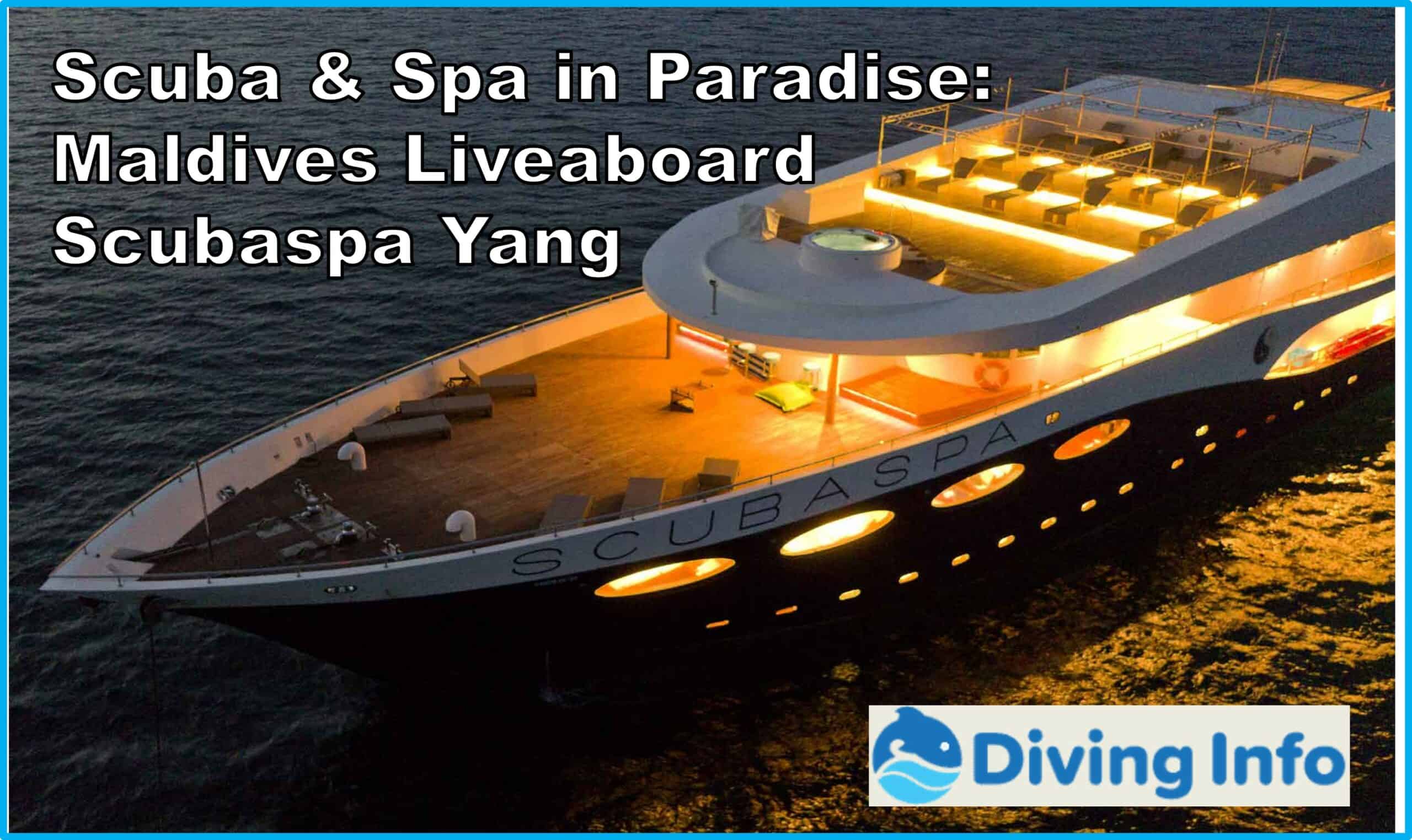 Scuba & Spa in Paradise Maldives Liveaboard Scubaspa Yang