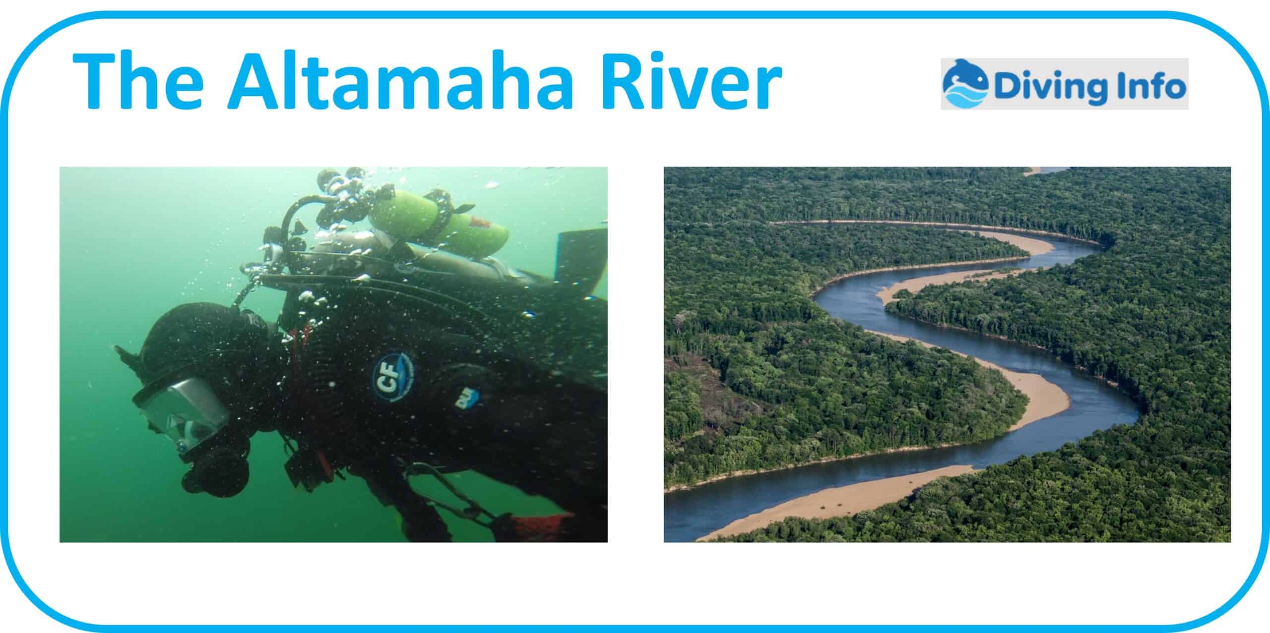 Diving The Altamaha River