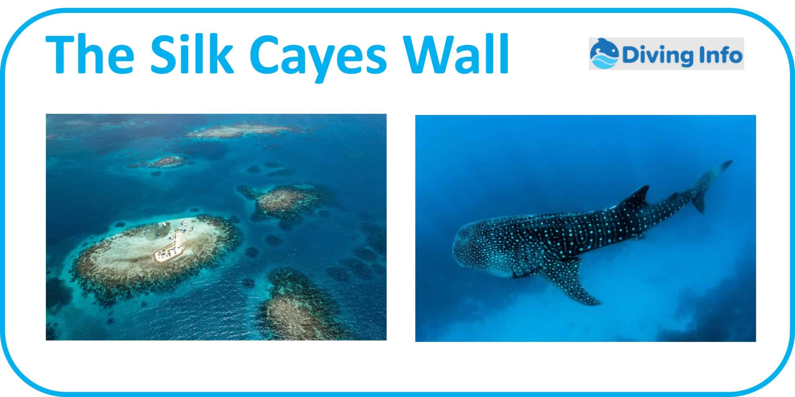 The Silk Cayes Wall