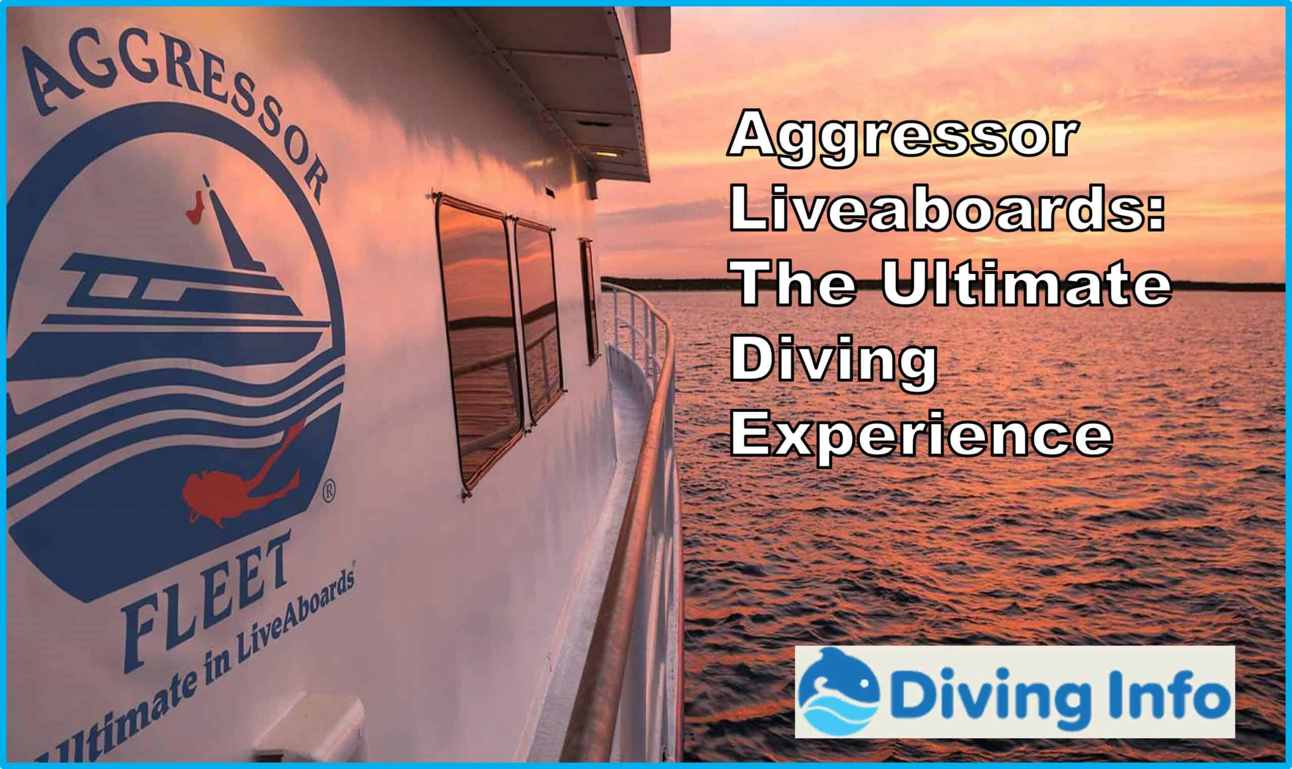 Aggressor Liveaboards: The Ultimate Diving Experience