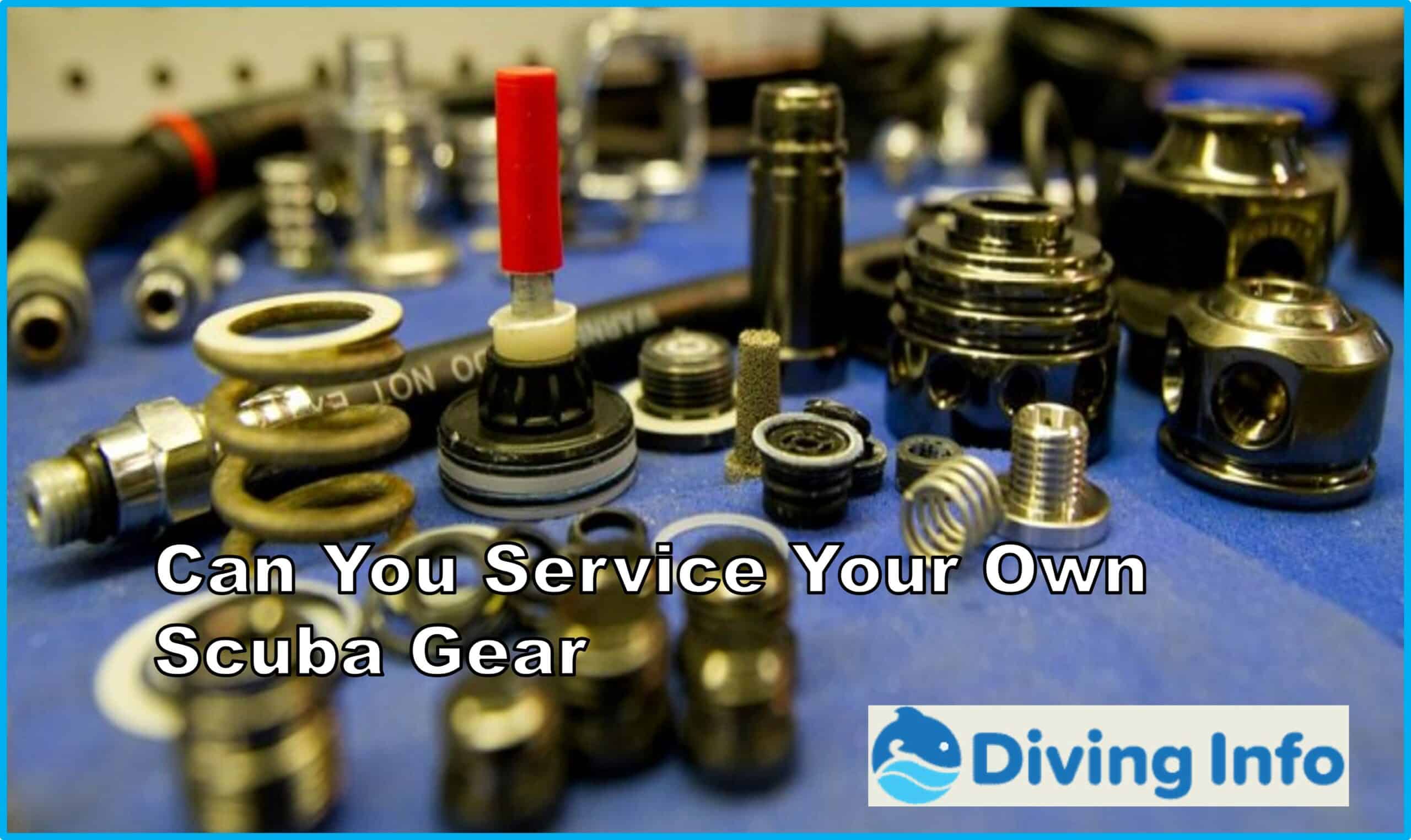 Can You Service Your Own Scuba Gear