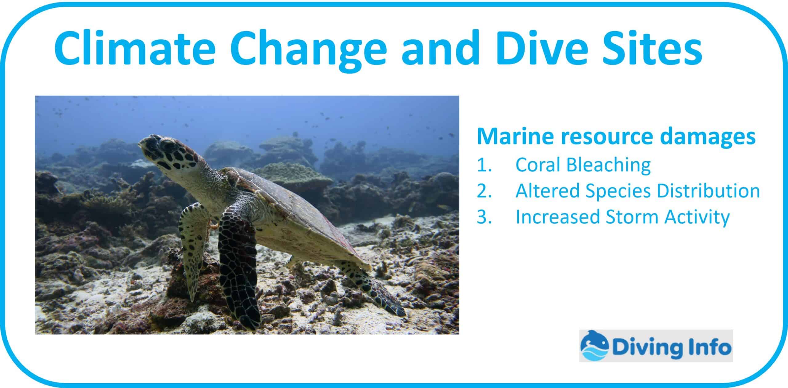 Climate Change and Dive Sites