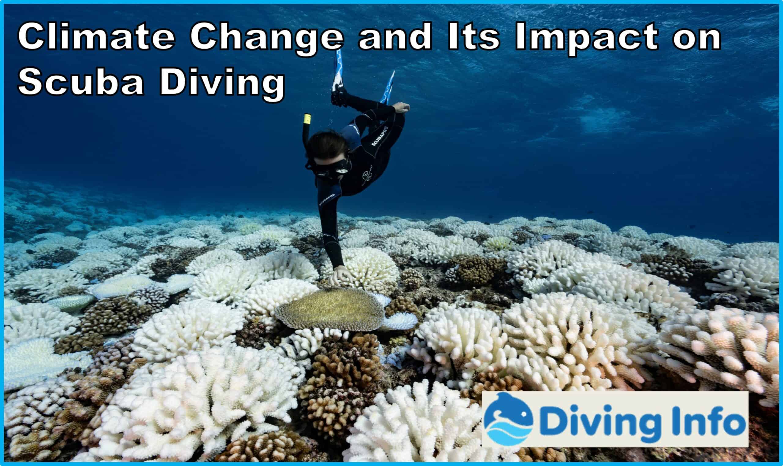 Climate Change and Its Impact on Scuba Diving