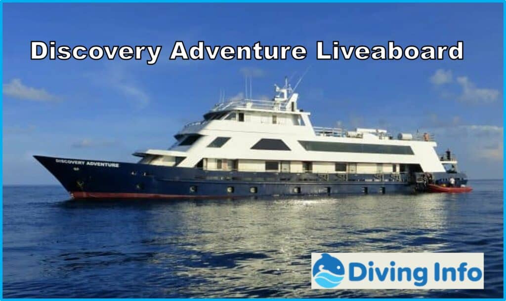 Discovery Adventure Liveaboard