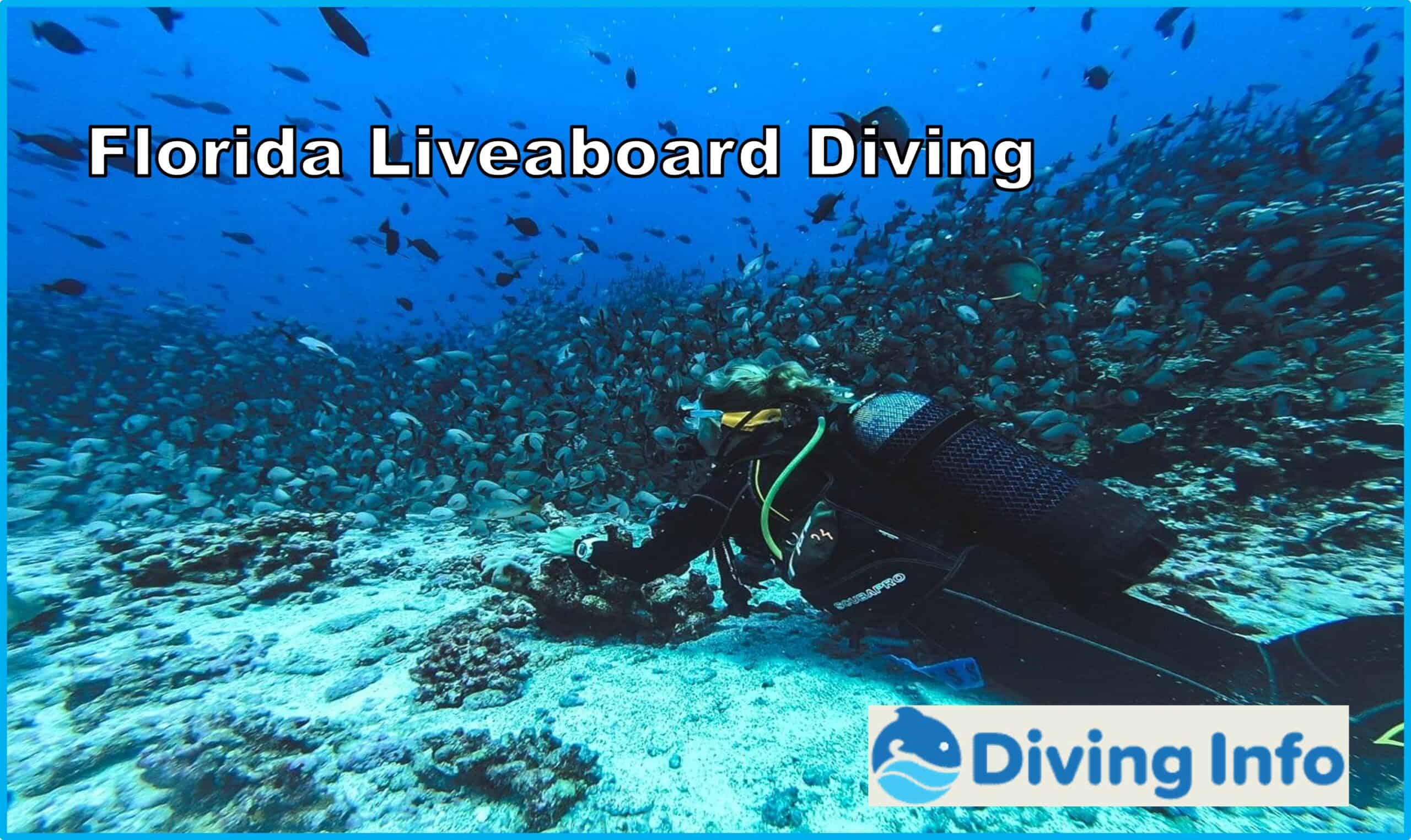 Florida Liveaboard Diving