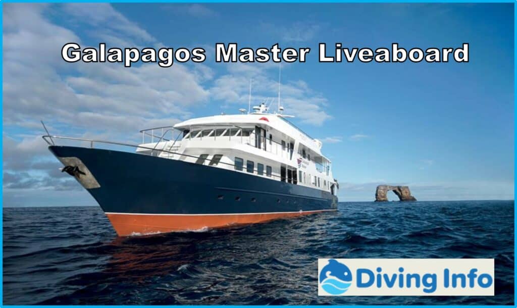 Galapagos Master Liveaboard