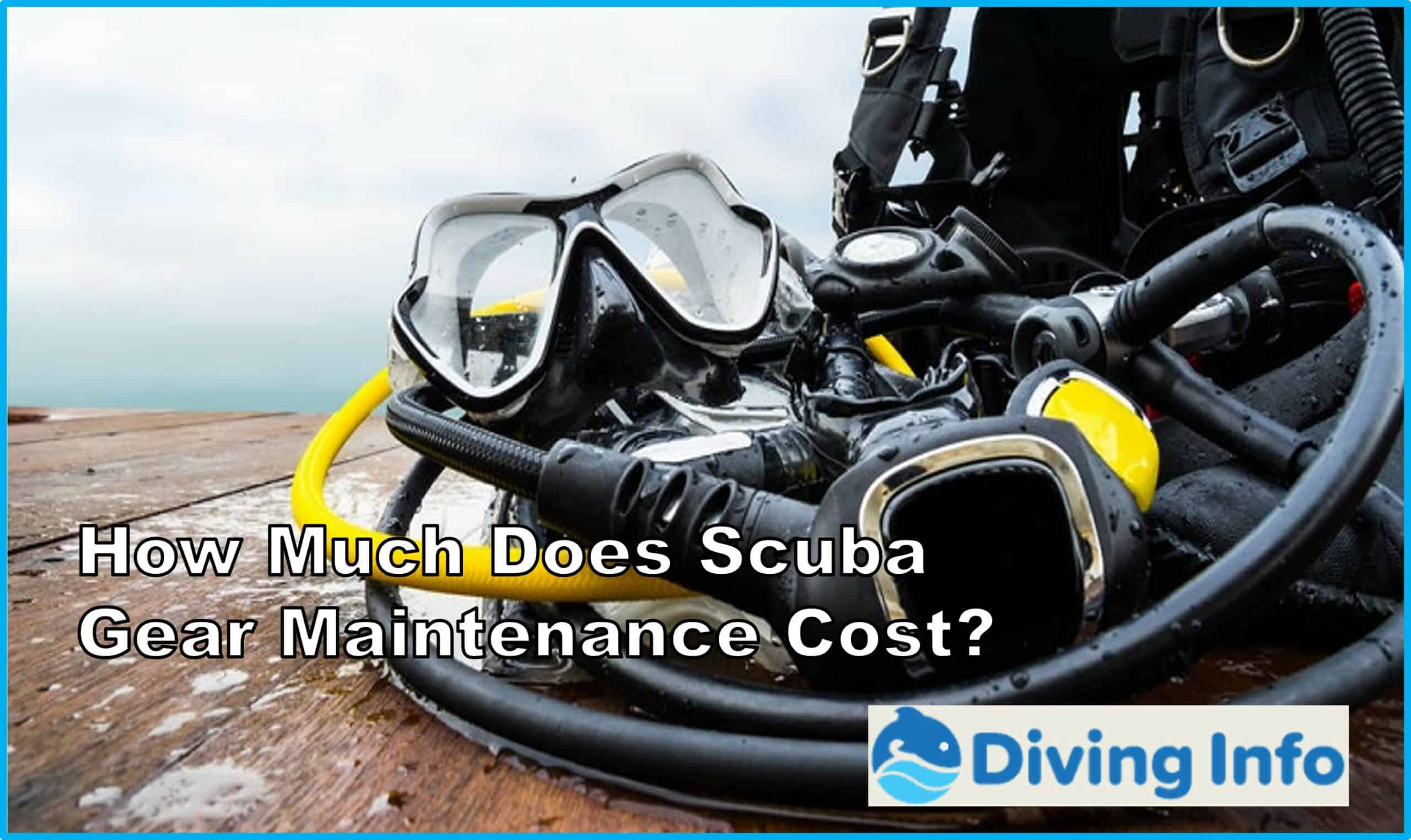 How Much Does Scuba Gear Maintenance Cost