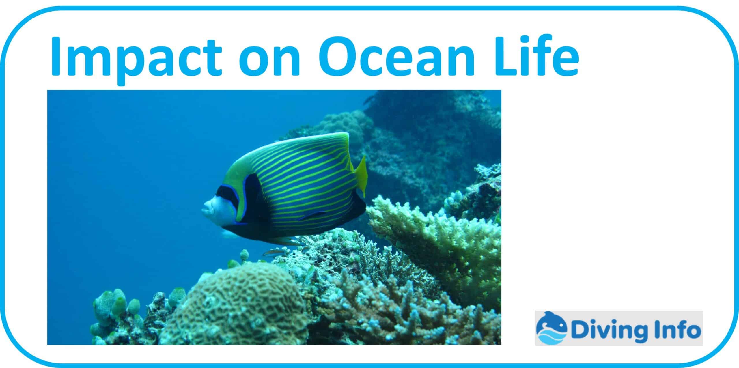 Impact on Ocean Life