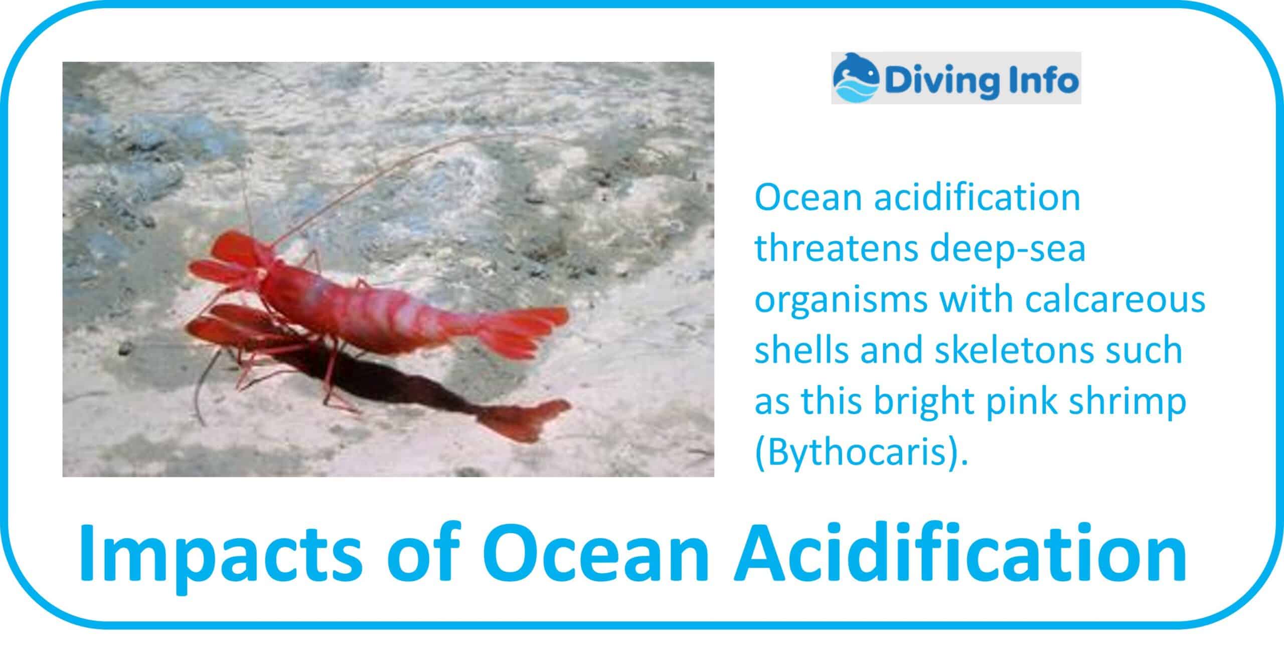 Impacts of Ocean Acidification