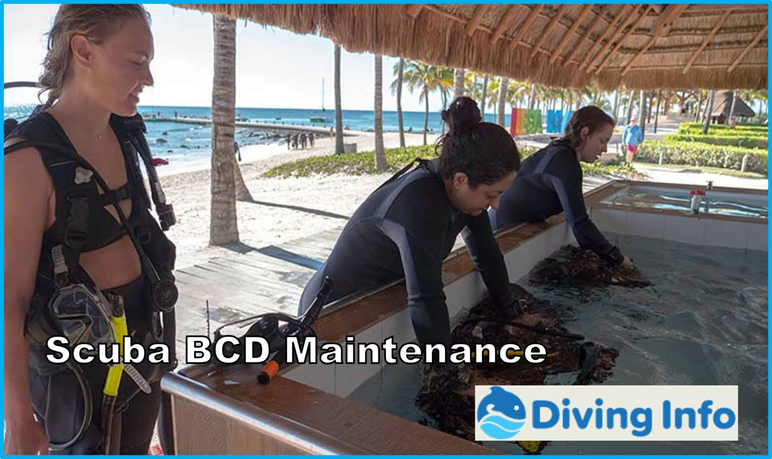 Scuba BCD Maintenance